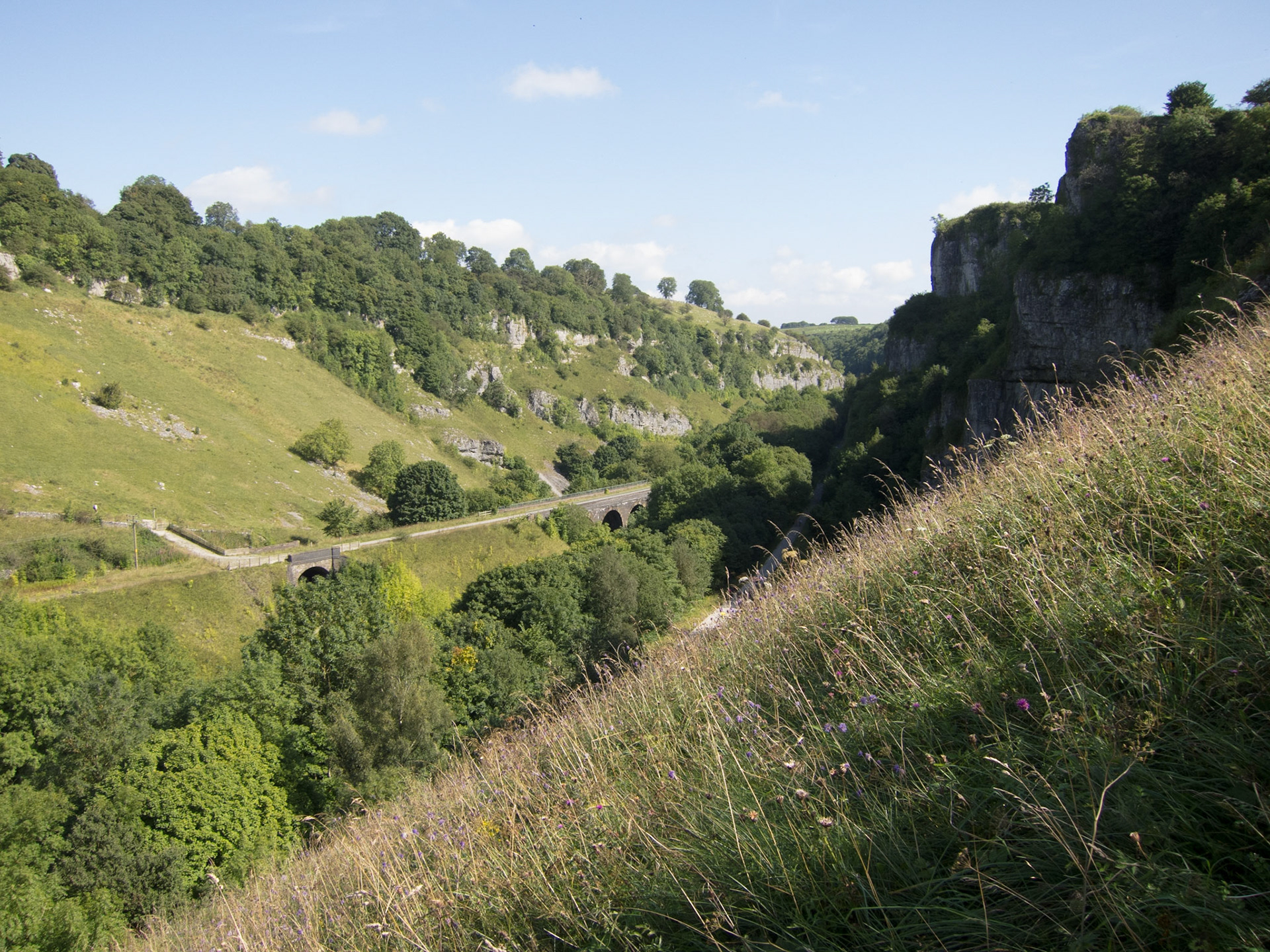 View over Wye Dale