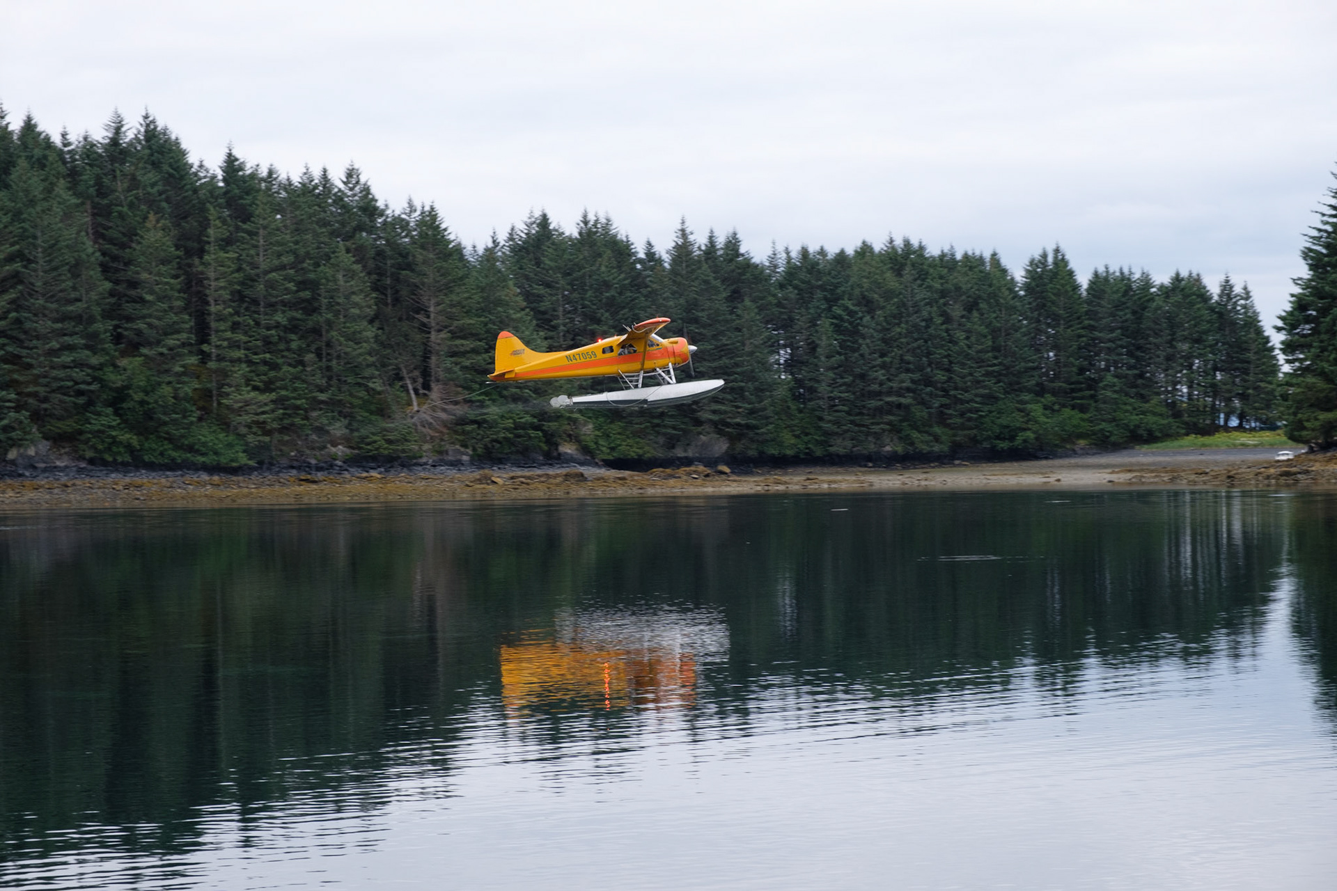 Some of our fellow guests taking off