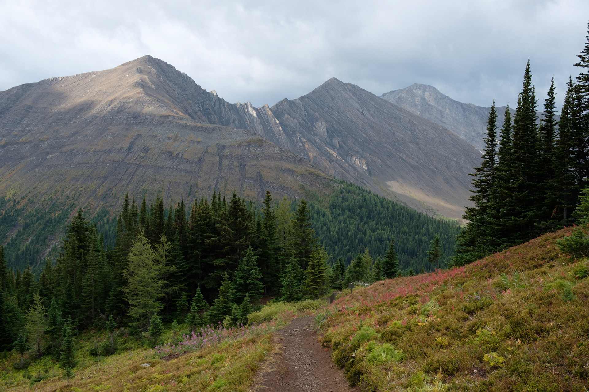 View from Ptarmigan Cirque hike