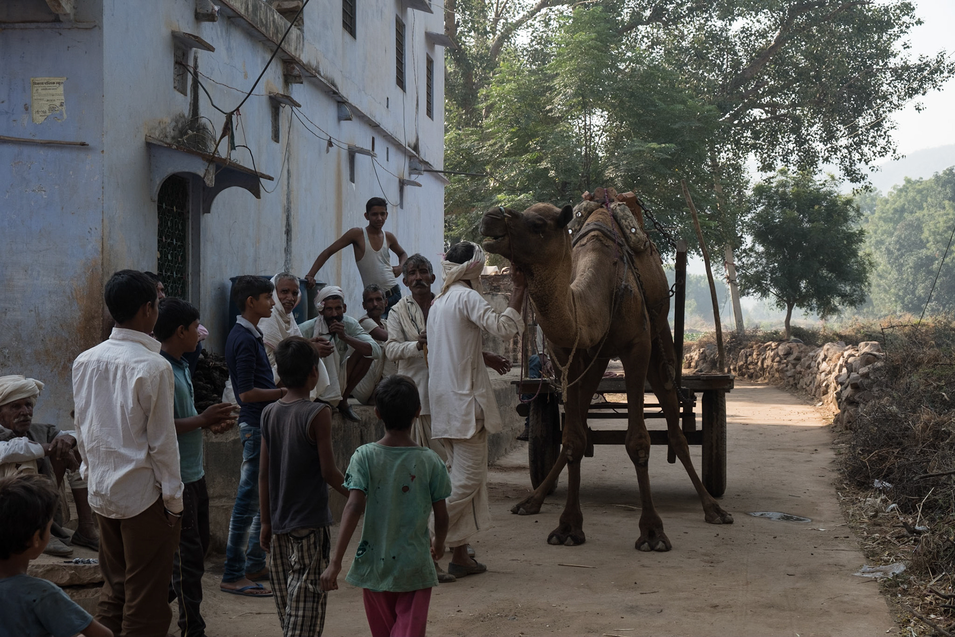 Birkadi early morning village walk, Rajasthan