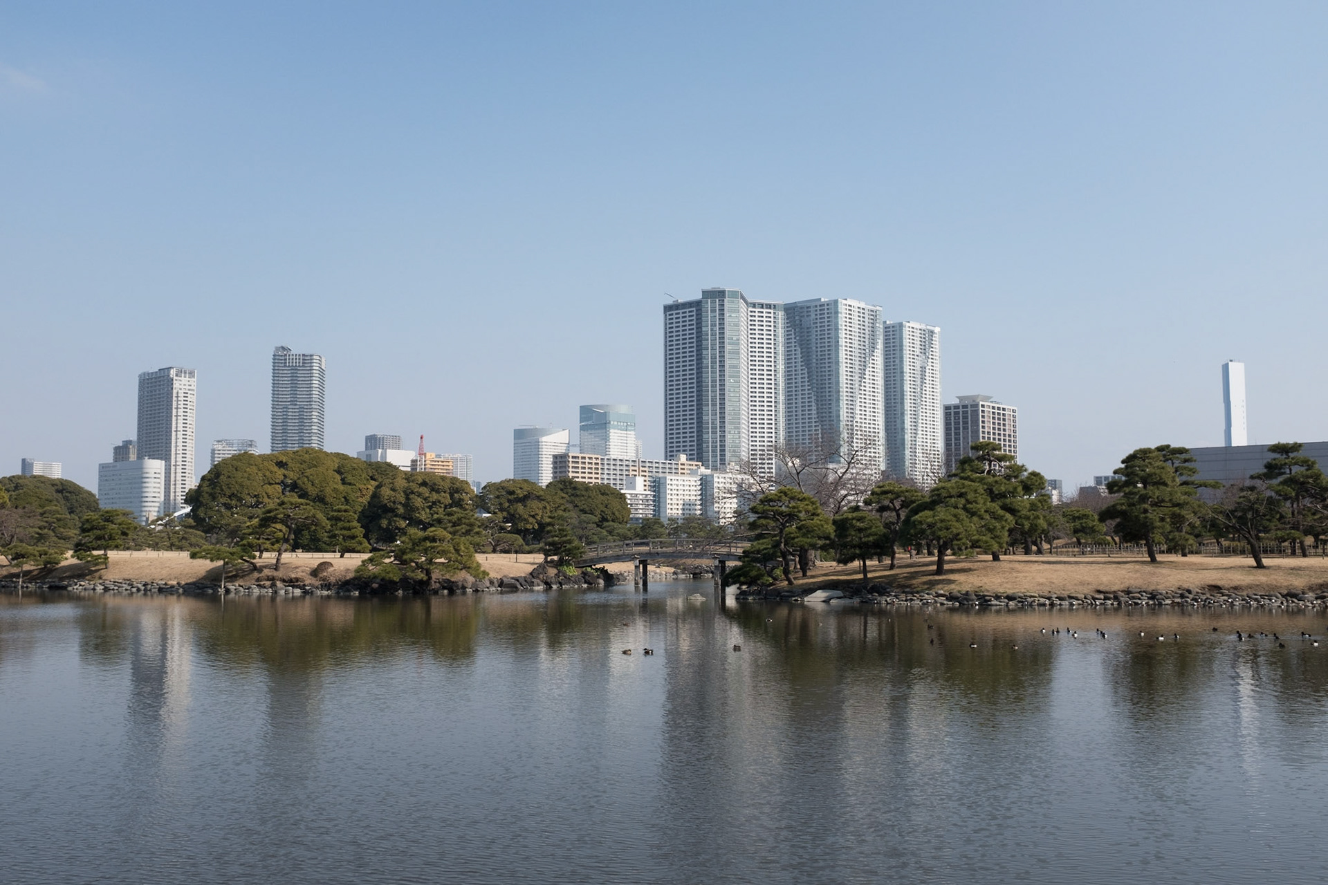 Hamarikyu gardens