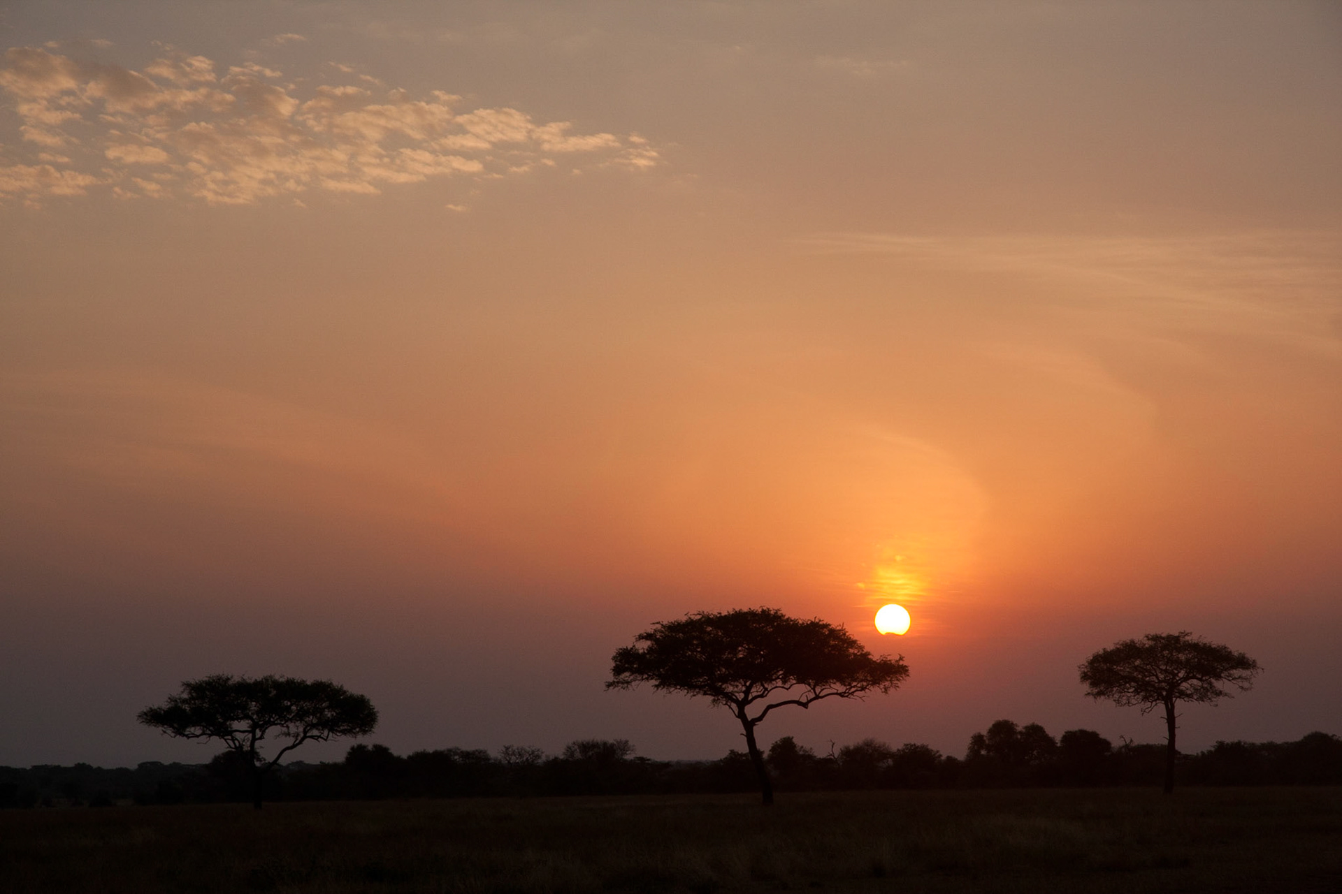 Sunrise over the Serengeti