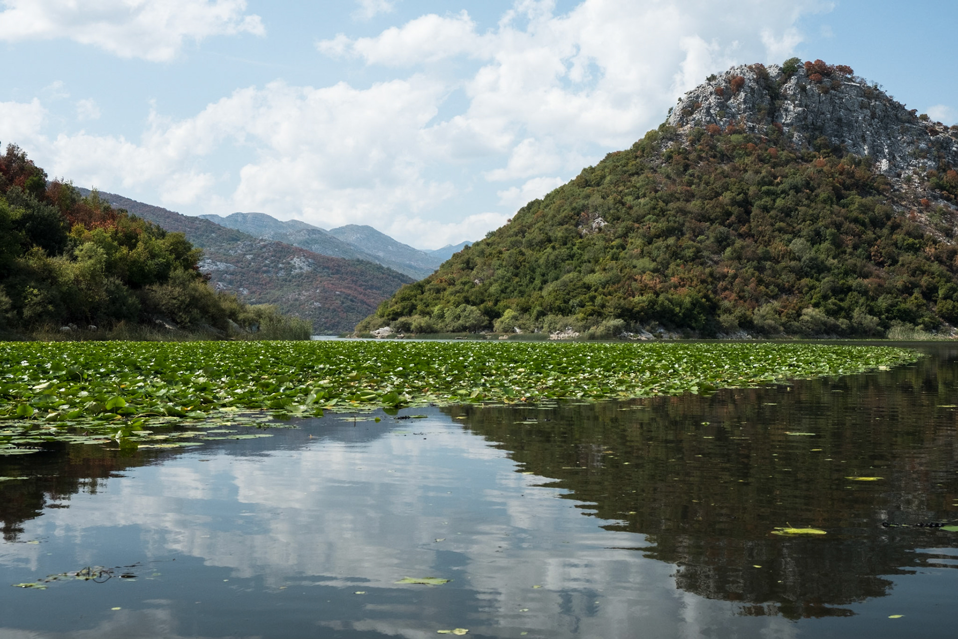 Lake Skadar