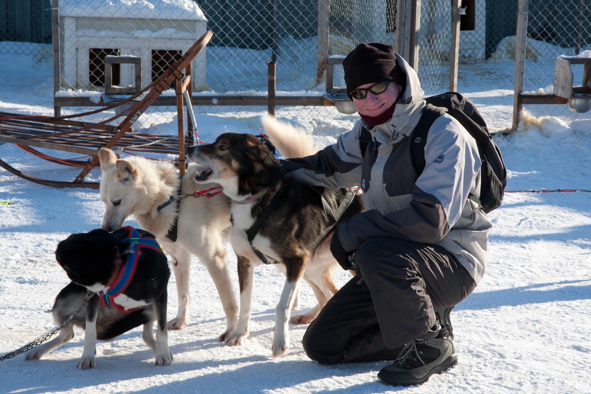 Alex with his husky team