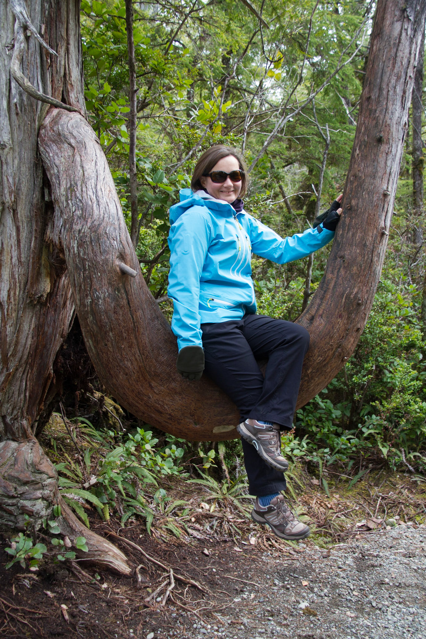 Sue sitting on a very curved branch!