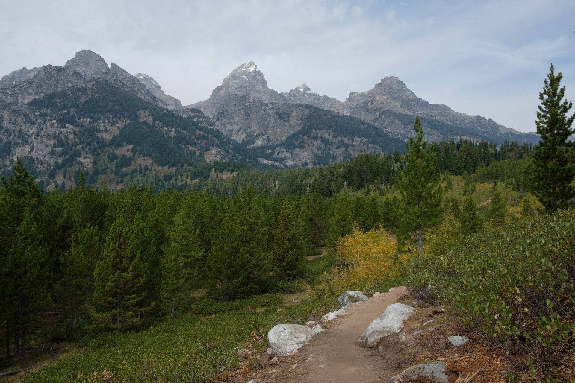 Trail to Bradley Lake