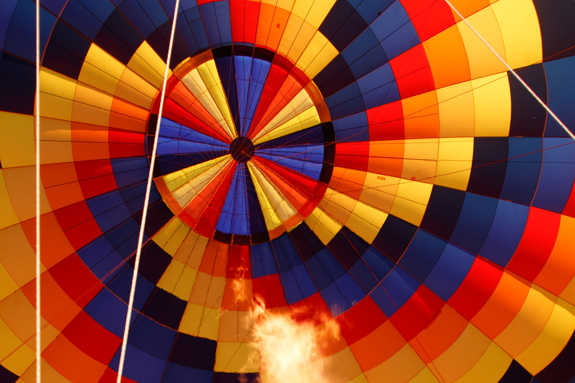 Inside the balloon canopy