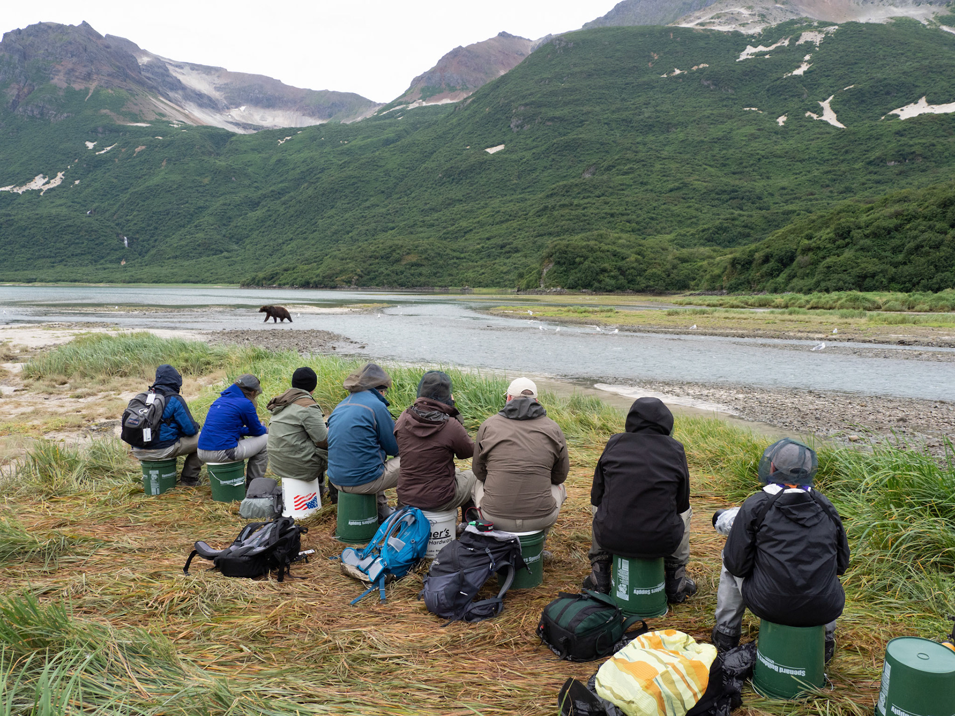Bear viewing in Katmai
