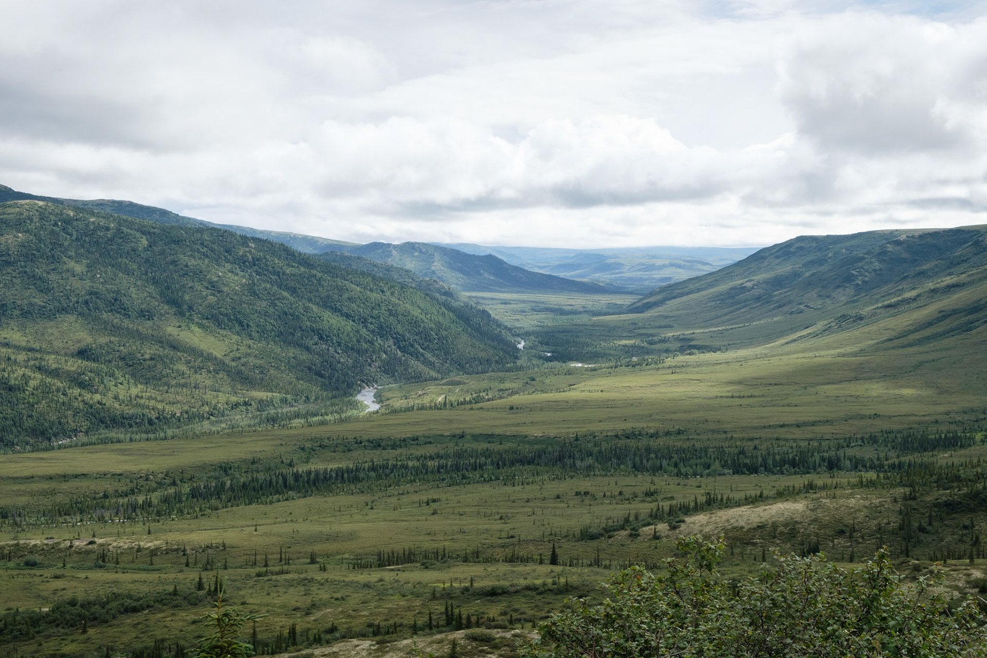 View from Willow Ridge
