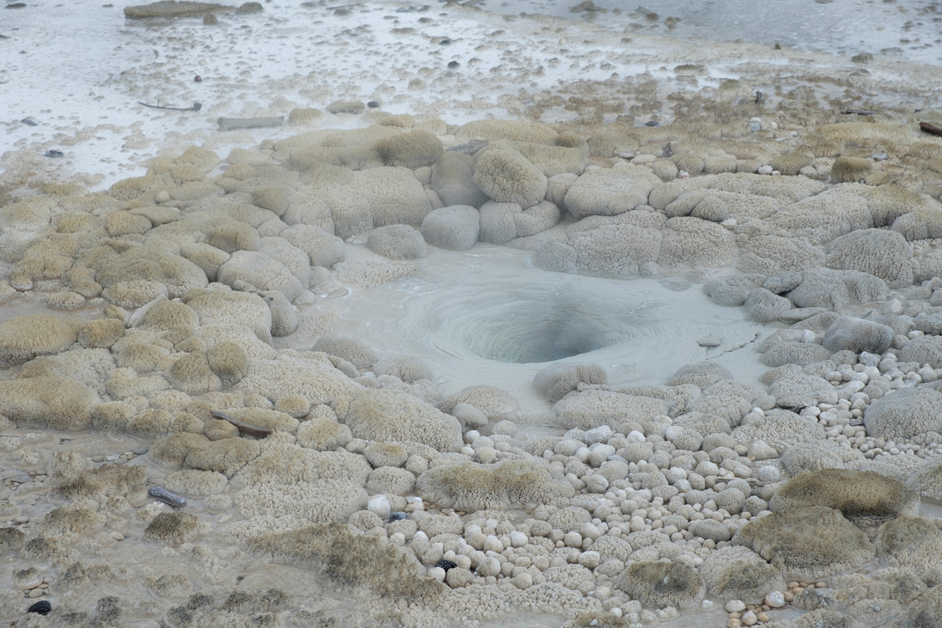 Vixen (Norris Geyser Basin)