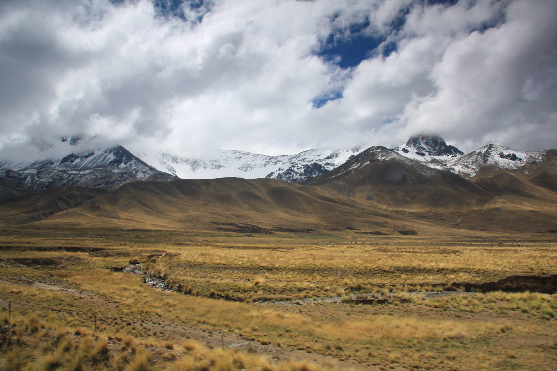 Altiplano, train journey from Cusco to Puno