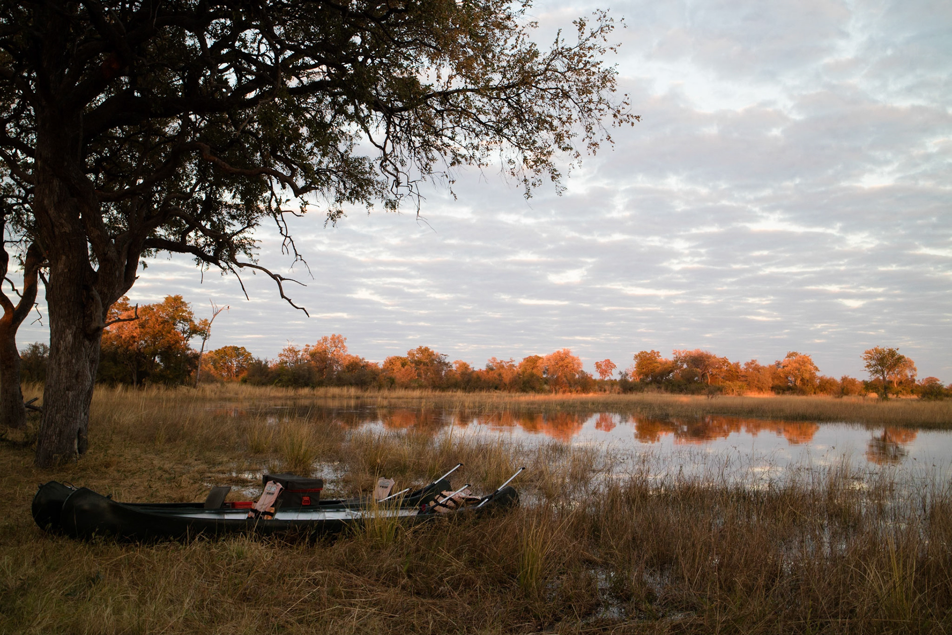 Early morning view from our second camp, Selinda Adventure Trail