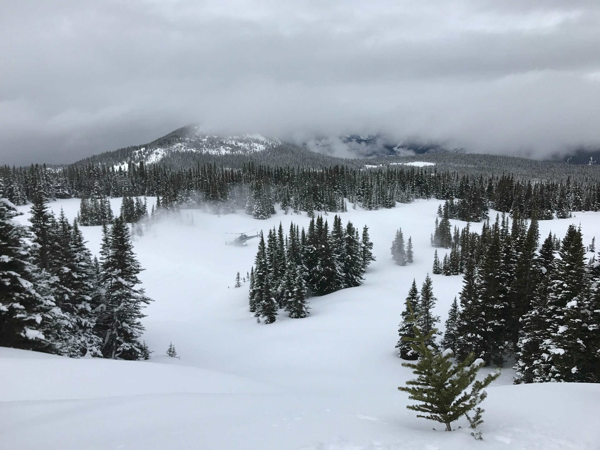 Heli skiing and boarding