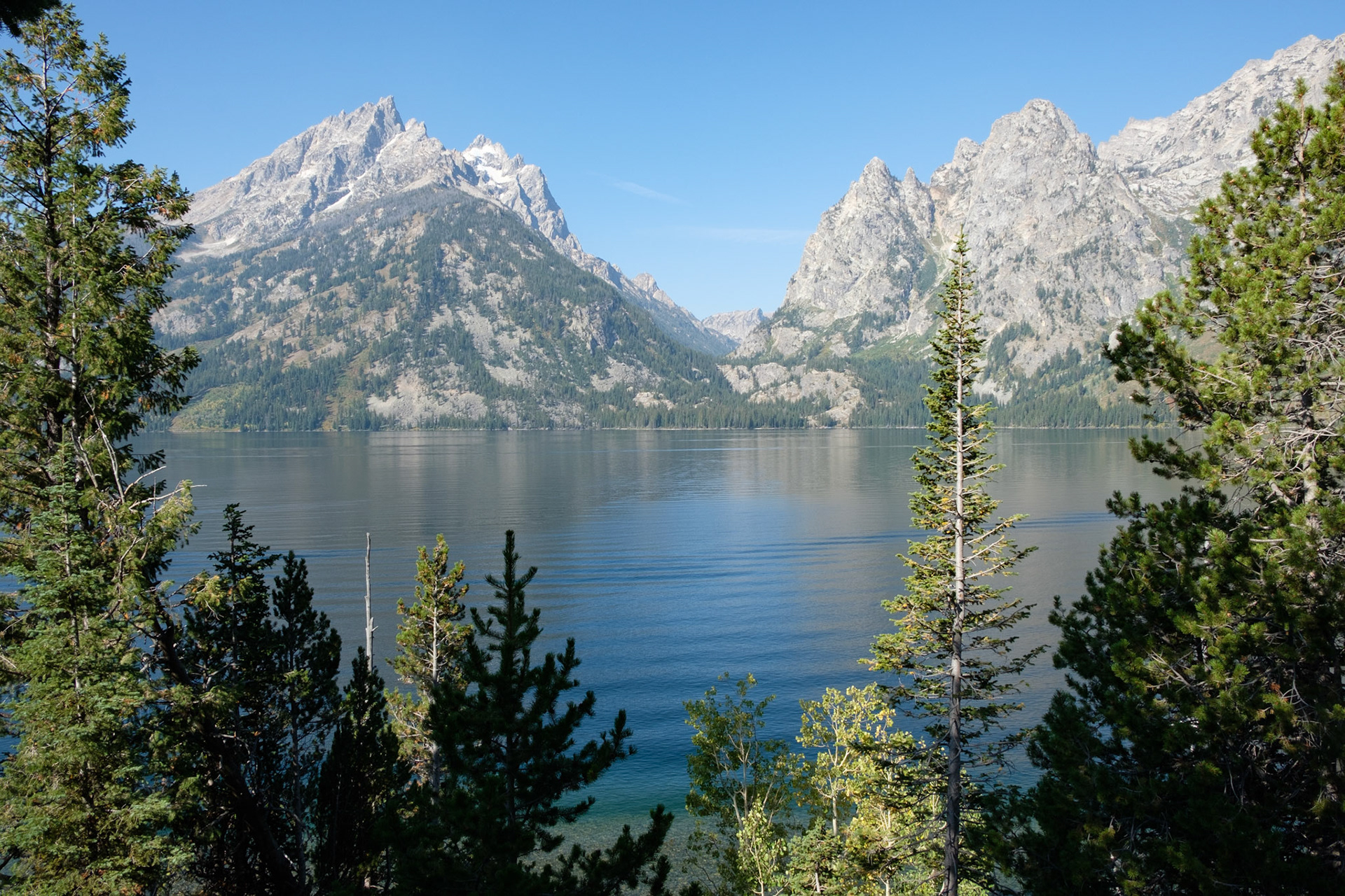 Tetons across Jenny Lake