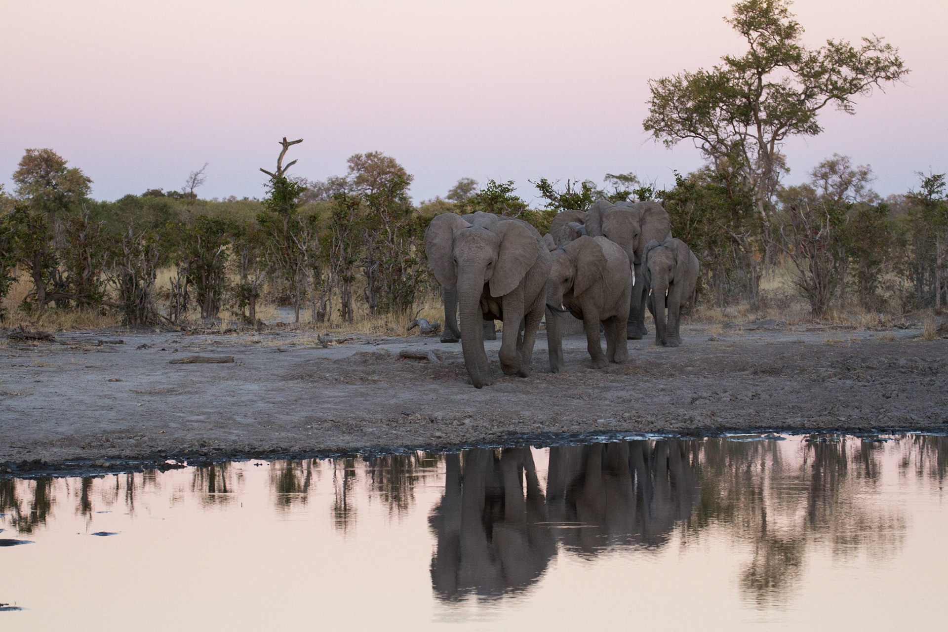 Approaching a water hole at dusk
