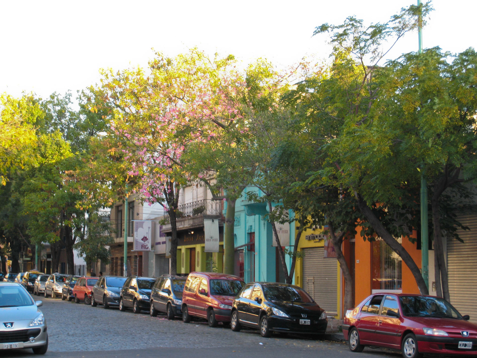 El Salvador, Palermo Viejo, Buenos Aires