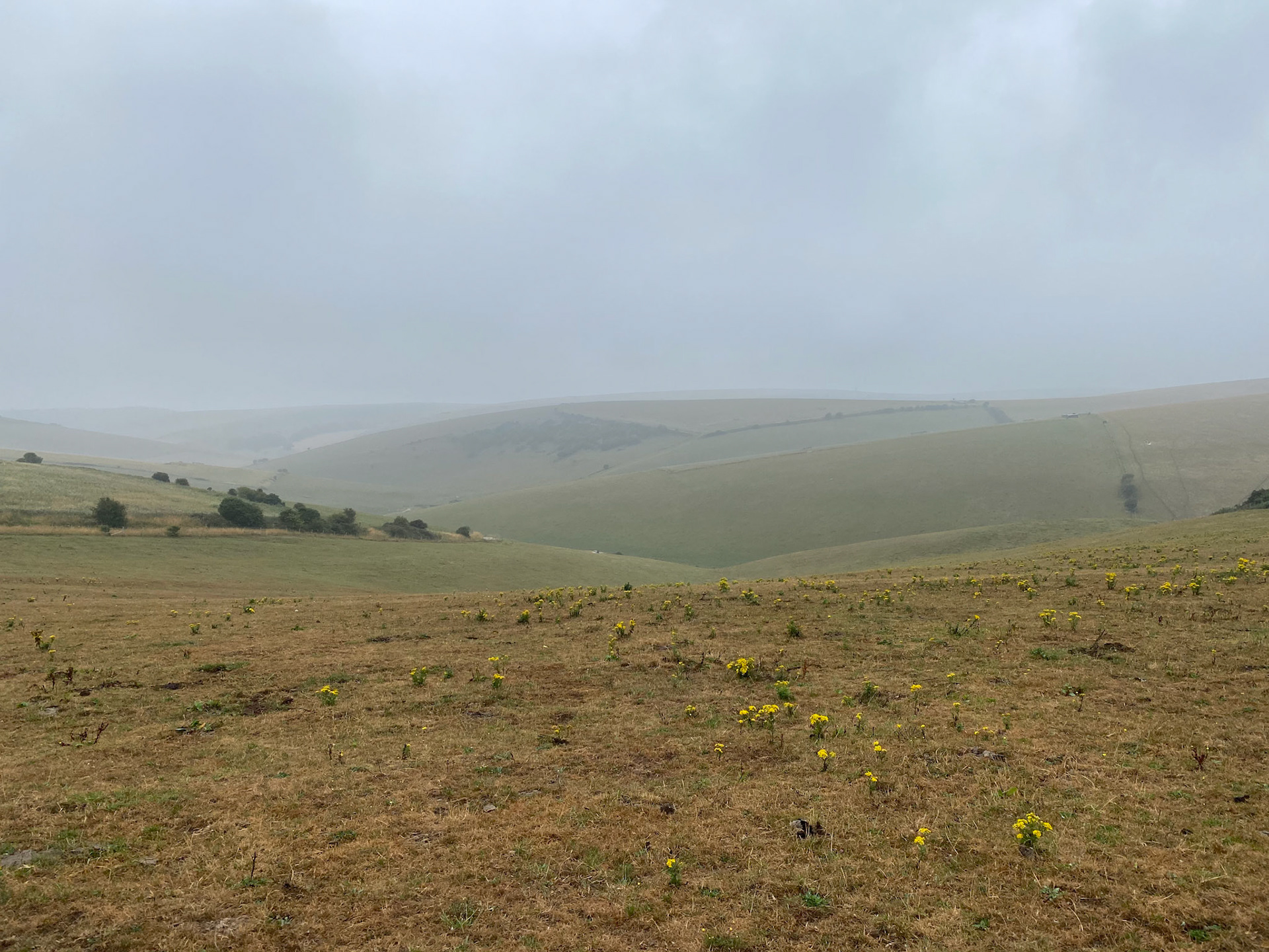 South Downs Way, near Kingston