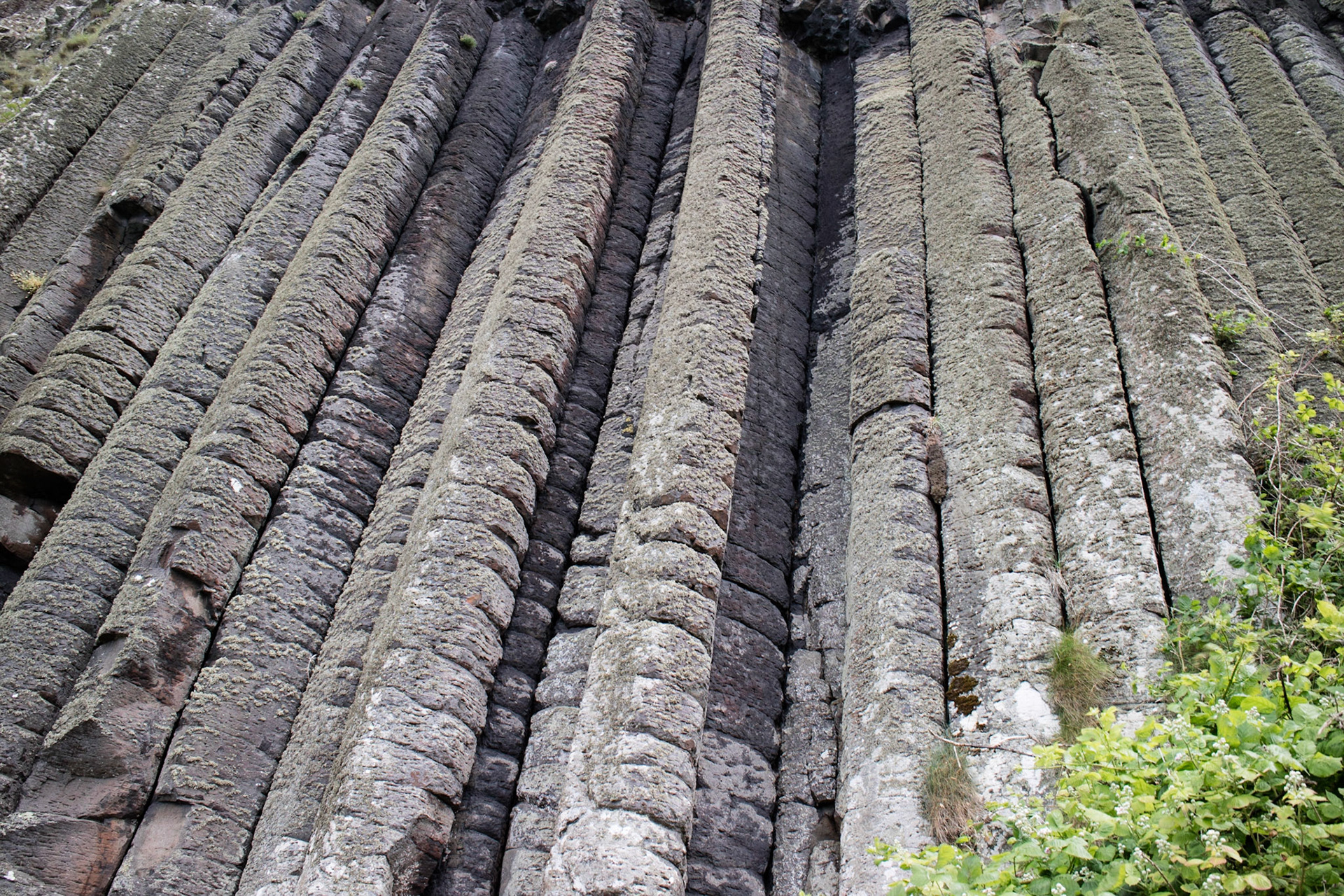 Giant's organ