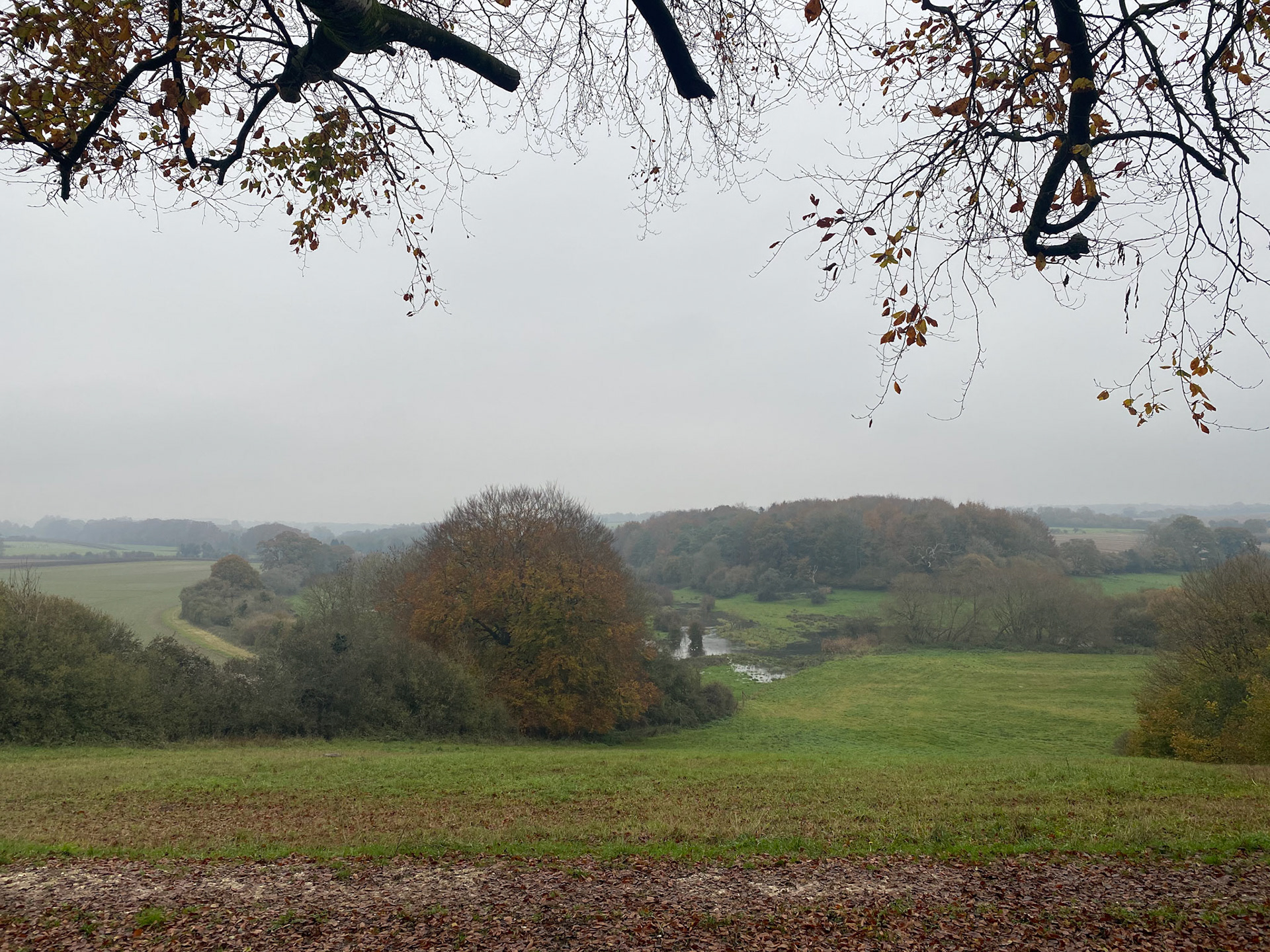 View from Itchen Stoke Down
