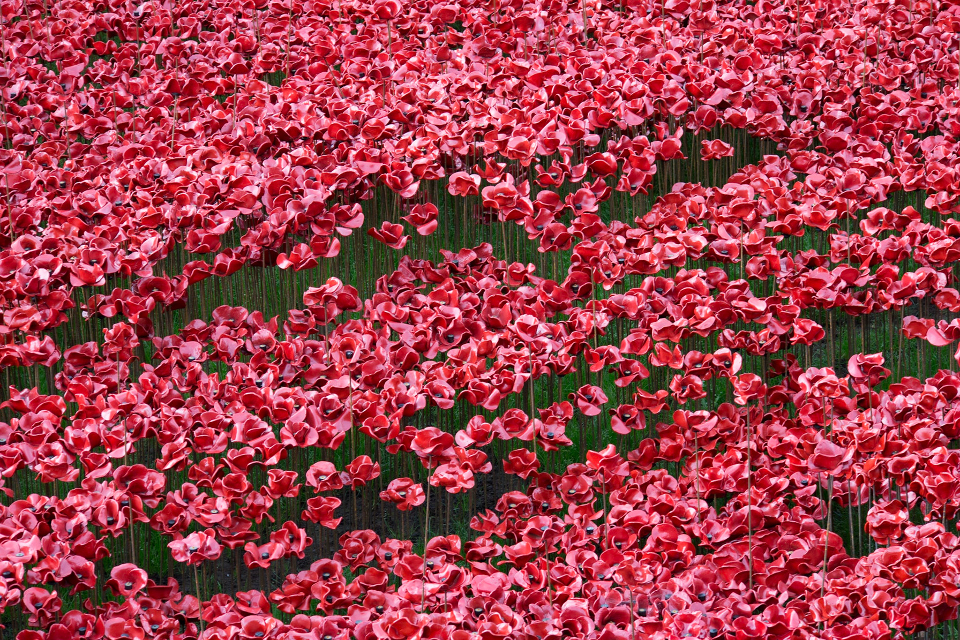 Poppies in moat at Tower of London