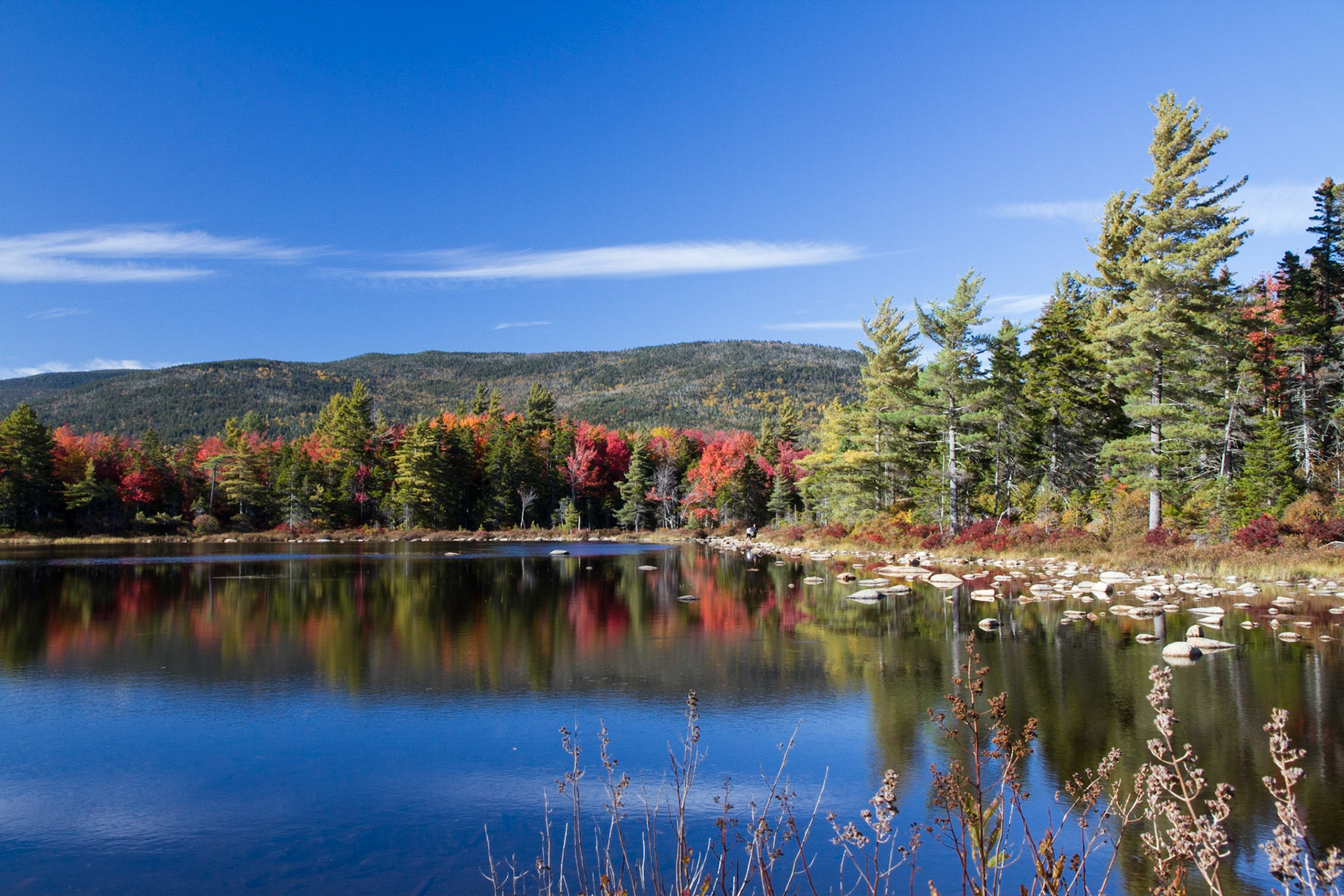 Along the Kancamagus Highway