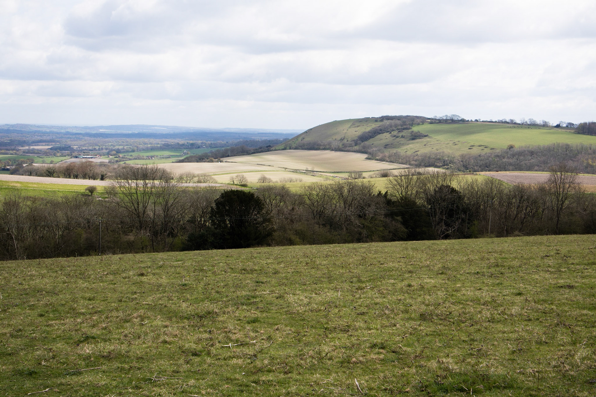 South Downs Way: Harting Downs to Cocking