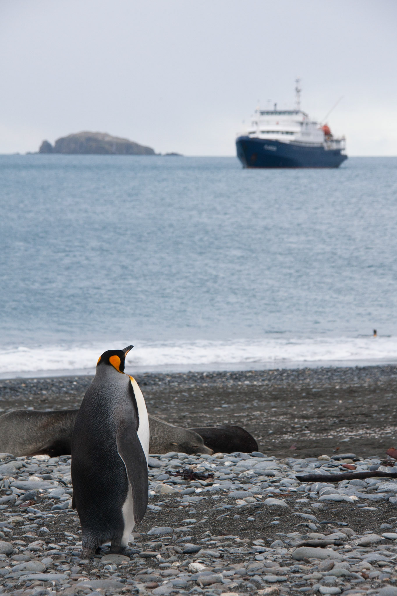 Shall I hitch a ride?