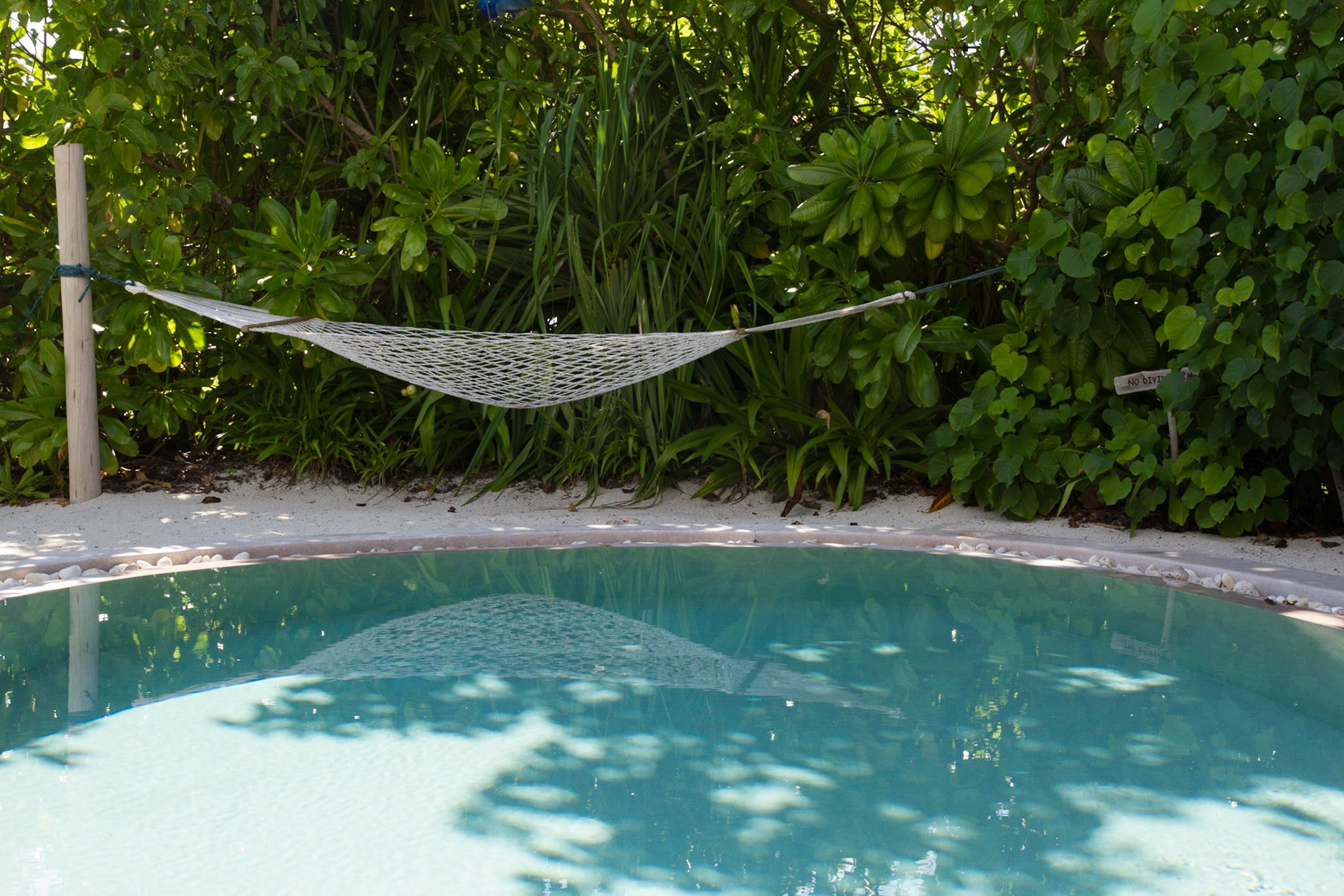 Hammock by the pool