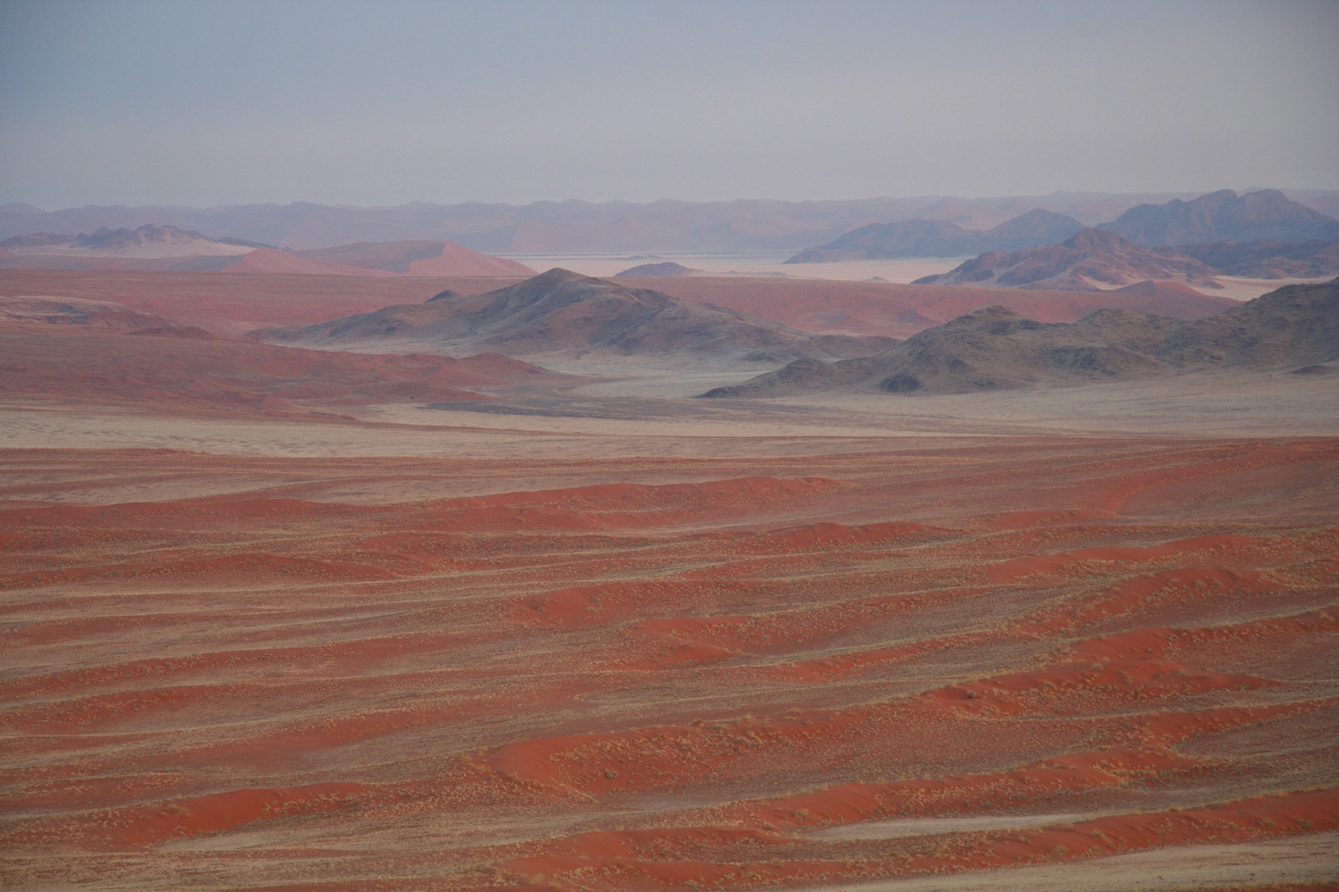 View over the dunes