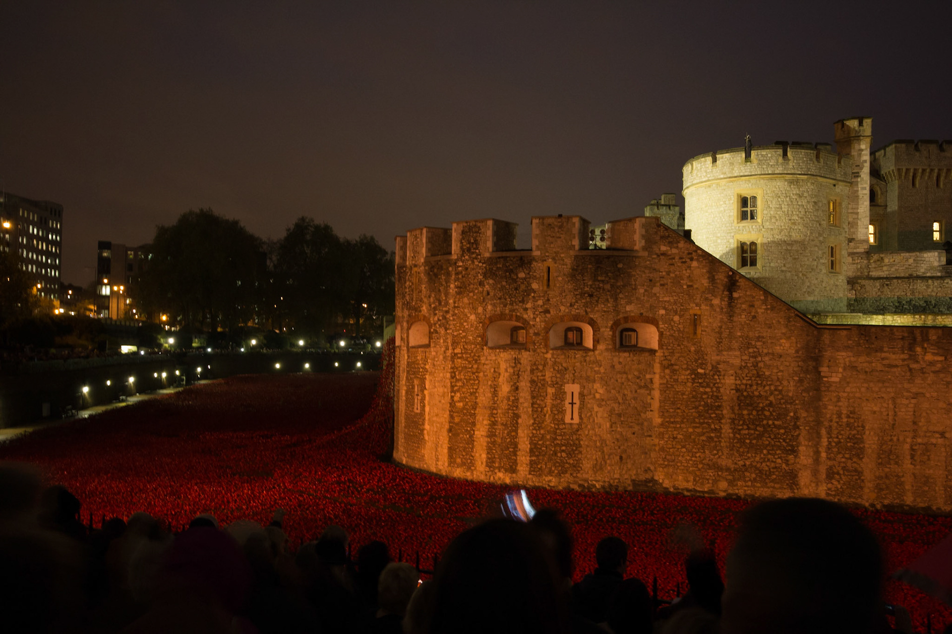 Poppies in moat at Tower of London