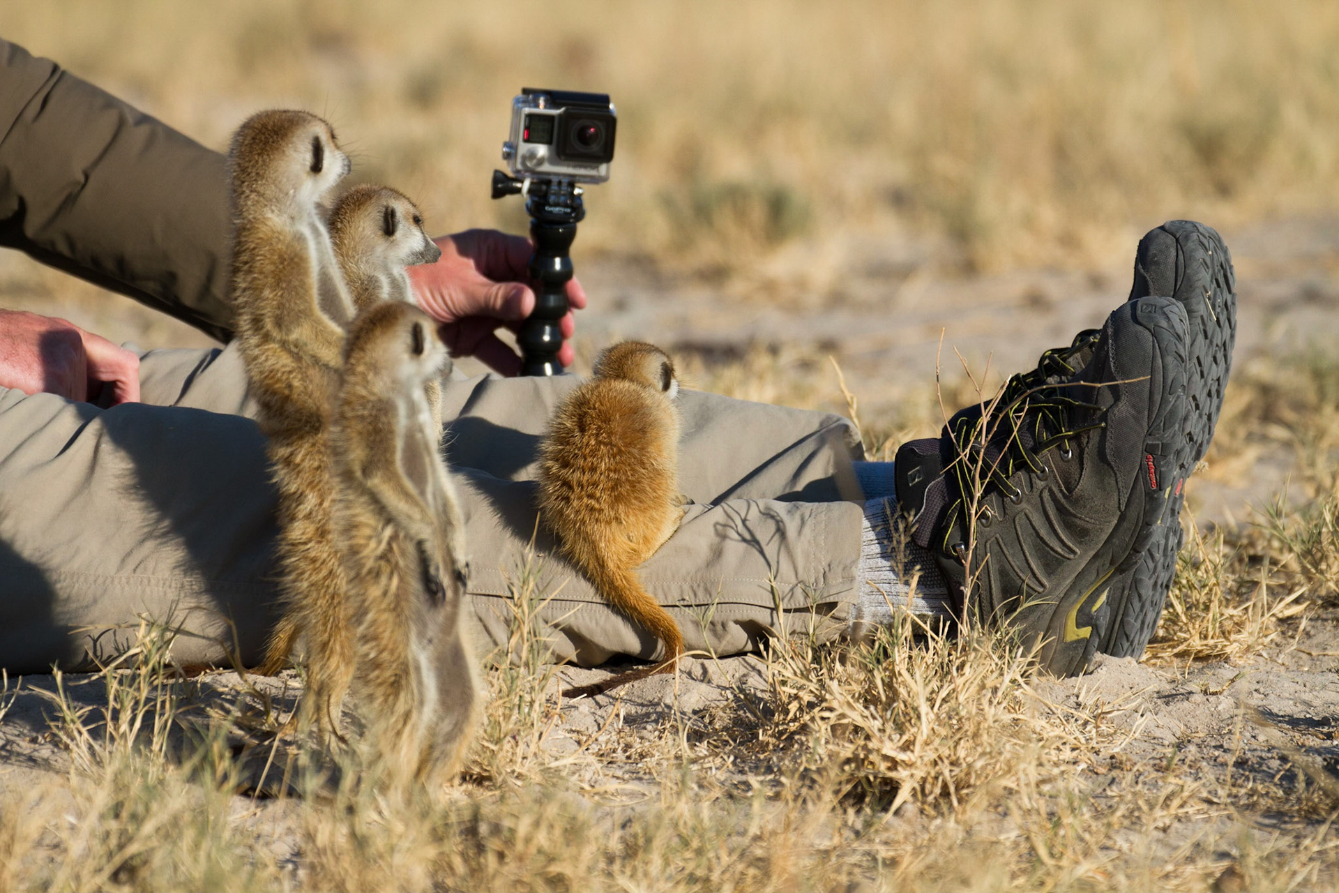 Intrigued by the GoPro
