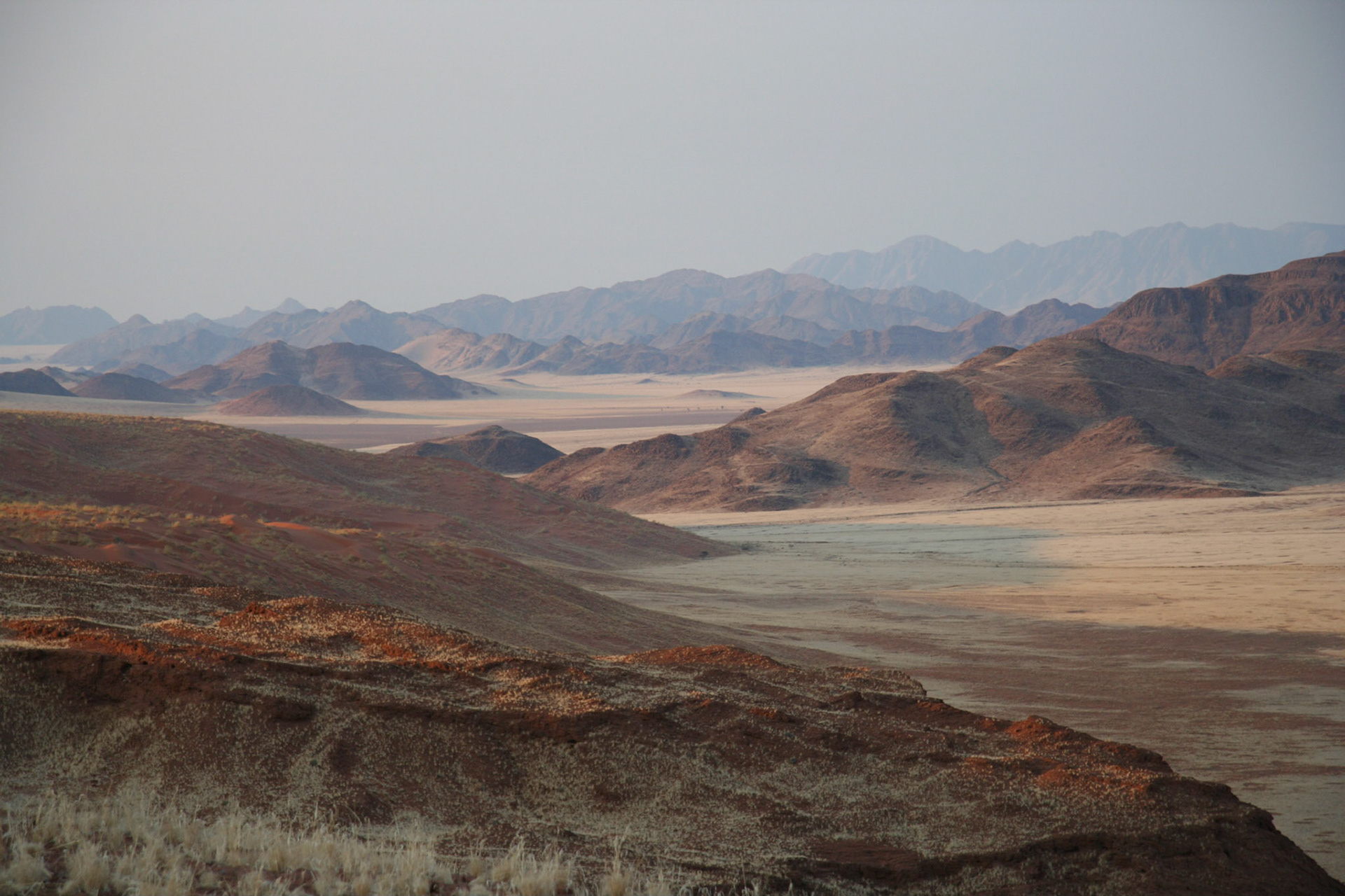 View from the top of the petrified dune
