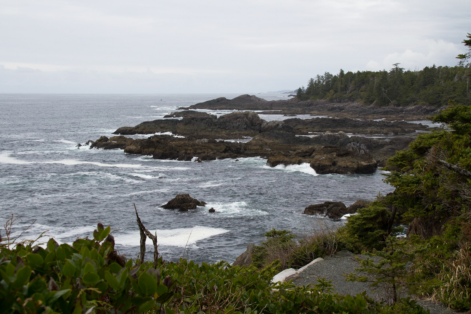View from Wild Pacific Trail
