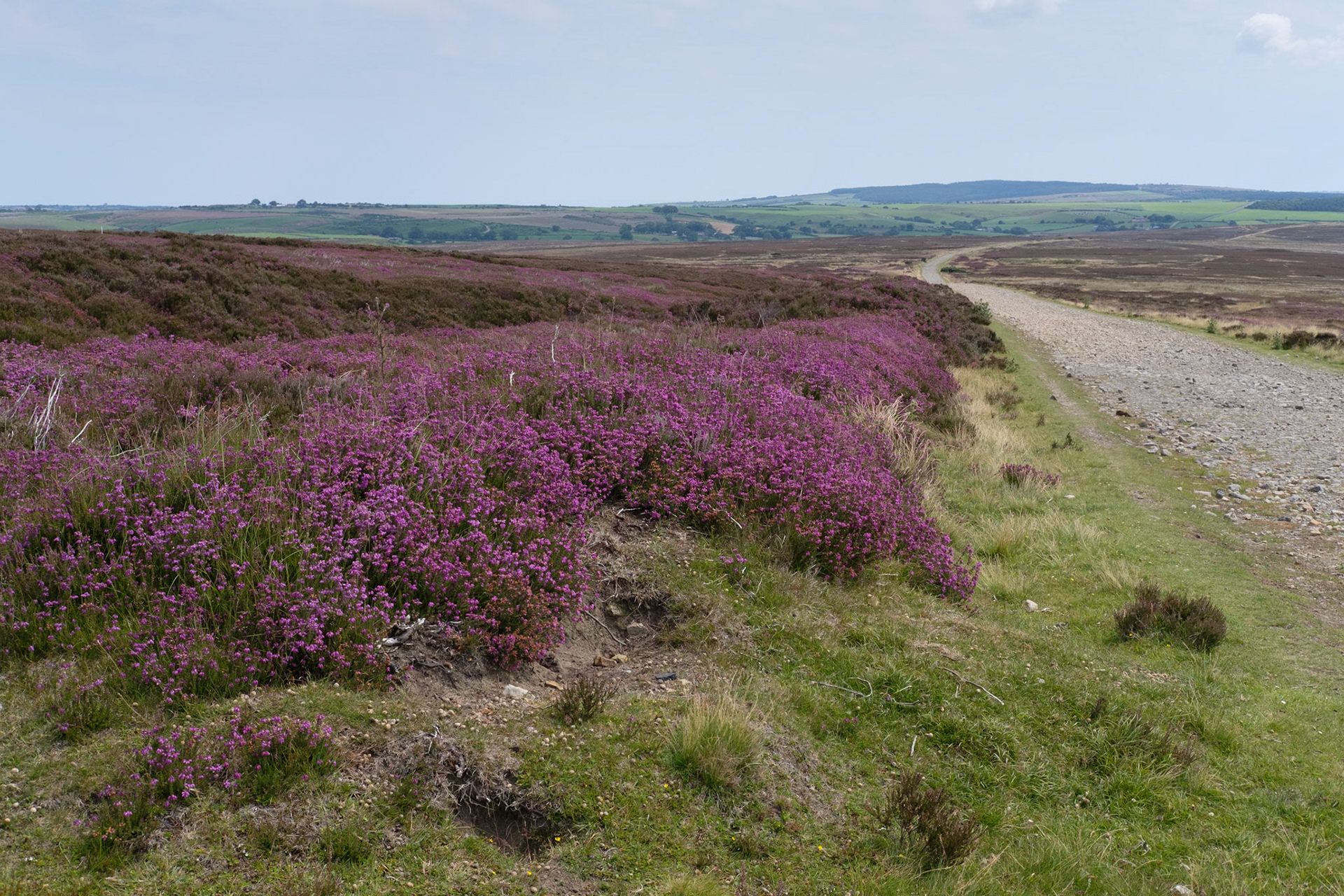 North York Moors near Danby Beacon