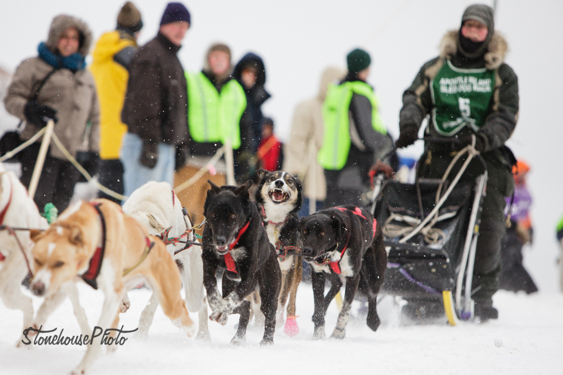 Commercial & Editorial Photography Hannah Stonehouse Hudson Dogs of
