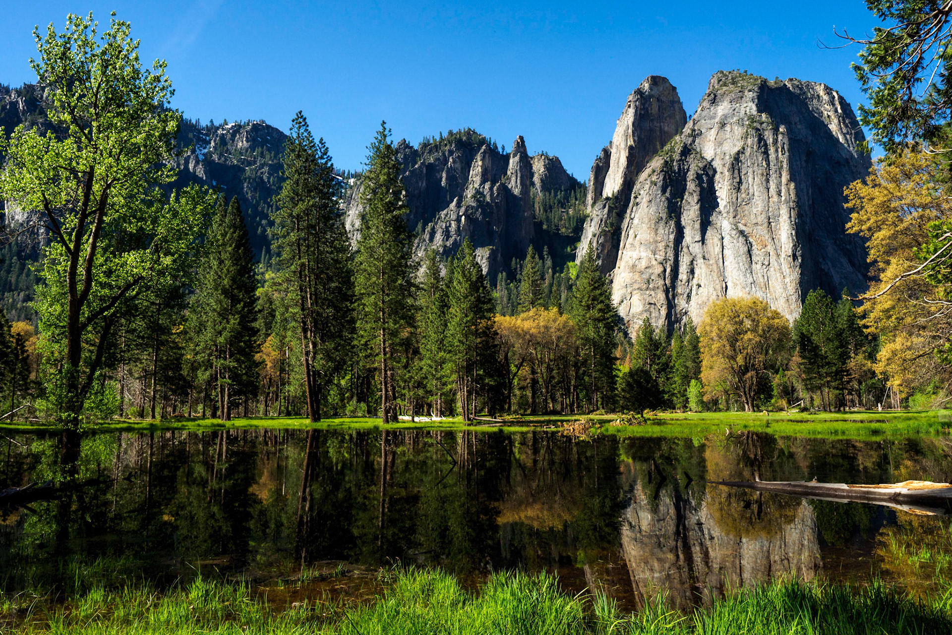 Cathedral Rocks