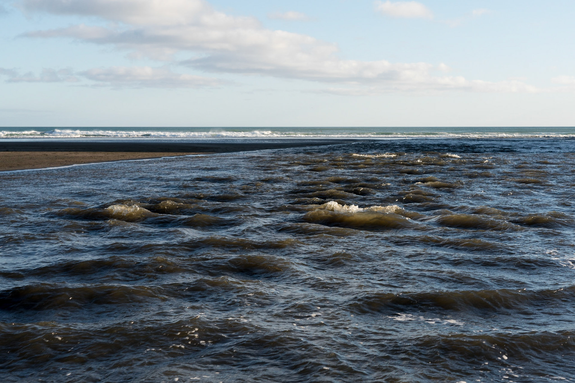 Bethells Beach