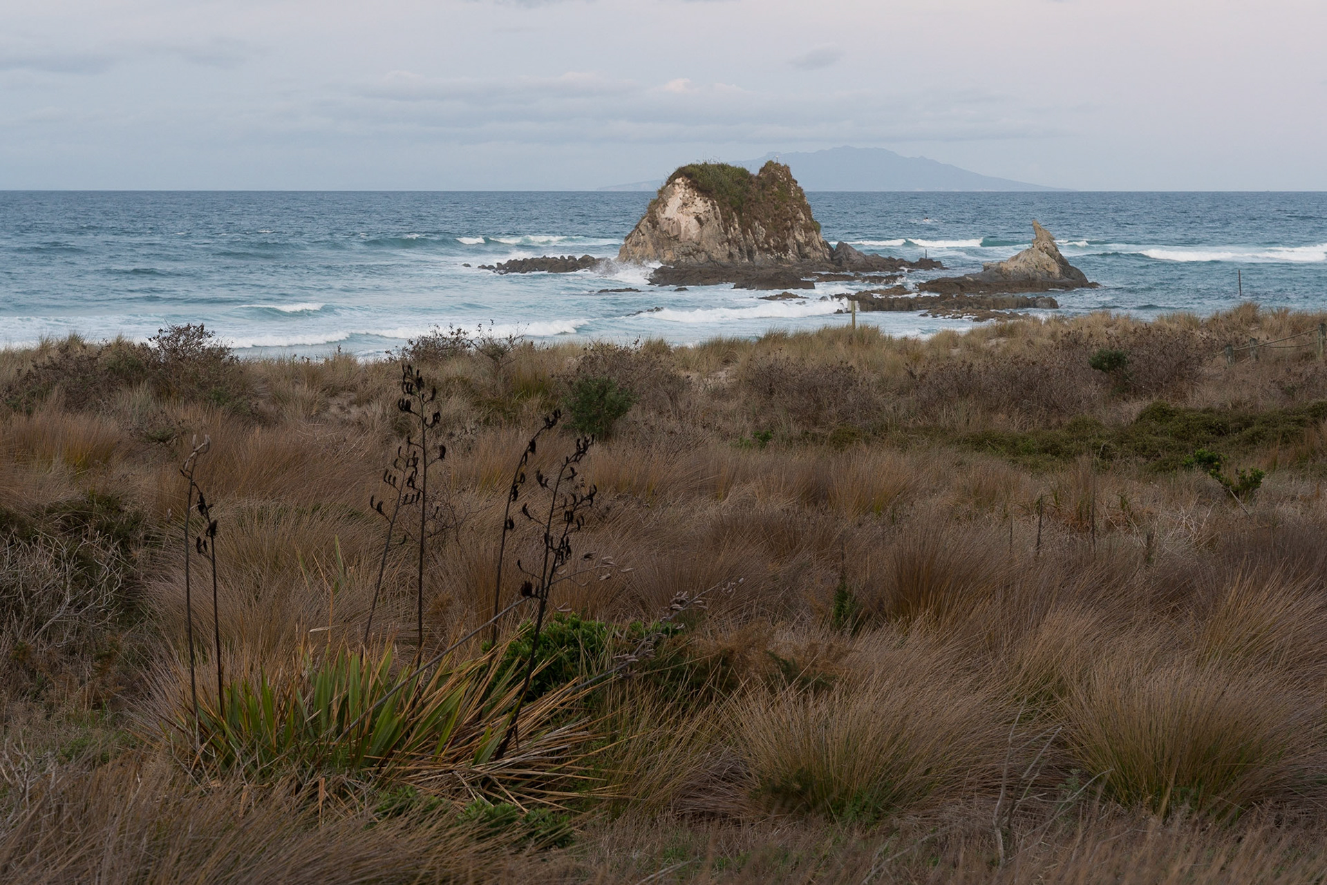 Mangawhai Heads