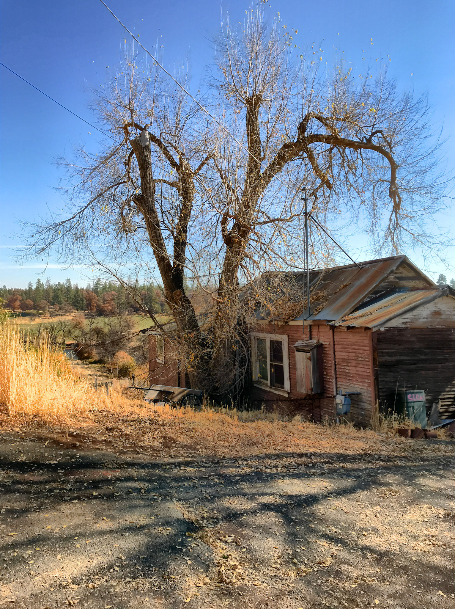 Cabin, Fall River Mills