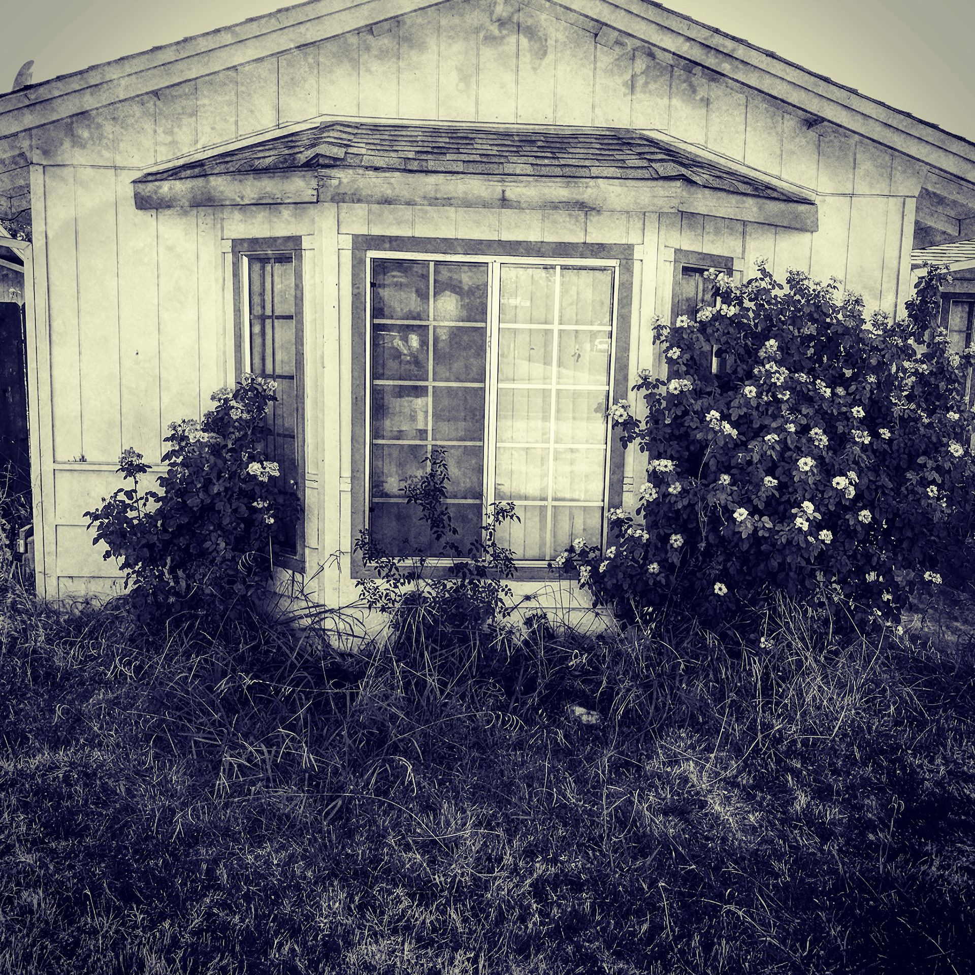 Old House on Wolverine Street