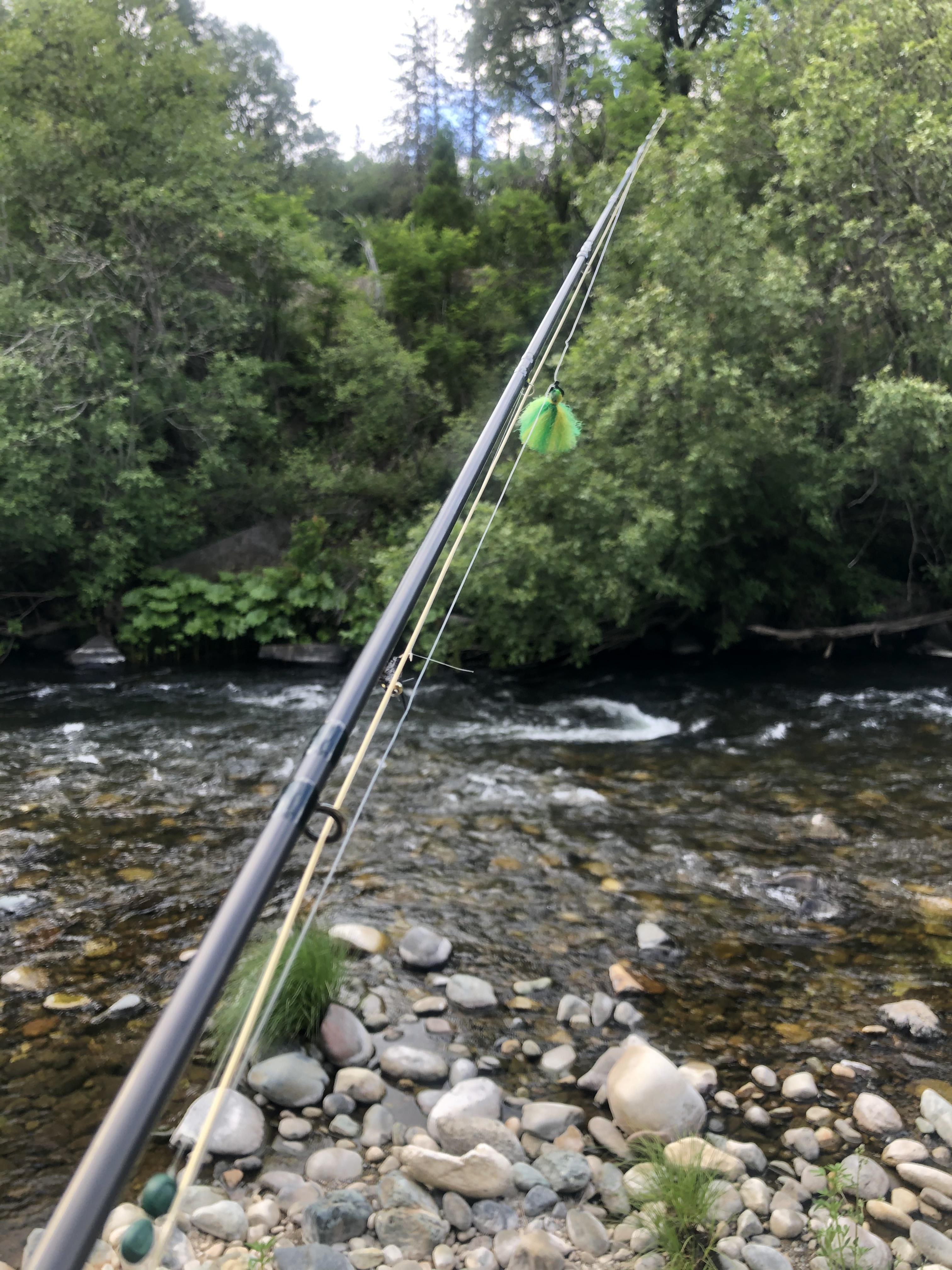 When in doubt....go fishing: Since I am not able to really do a lot physically, this time has been a good time to do things around the house and care for the yard. I can't do a lot of the work but since my husband and kids are home due to cut work hours, we have set up a family plan to help each other and get more done around the house. This is a picture of our yard. I may only be able to sit in a chair and watch but I can hang out and spend time with the people I love.