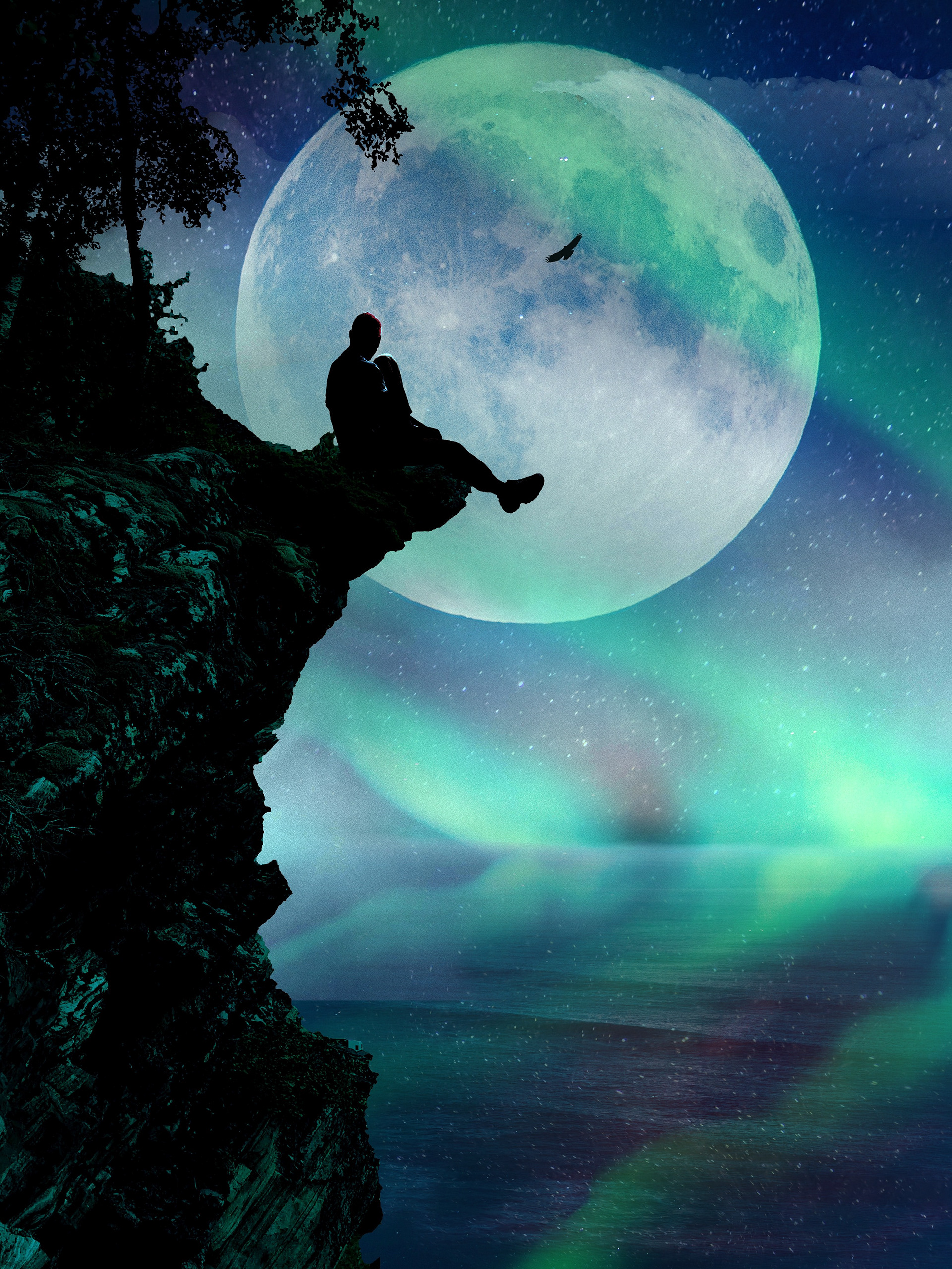 Thaddeus Martin, Woman Standing on the Cliff, Digital Art, Cleveland School of the Arts, Educator: Michael Thornburg, Educator, Grade 12,  Honorable Mention