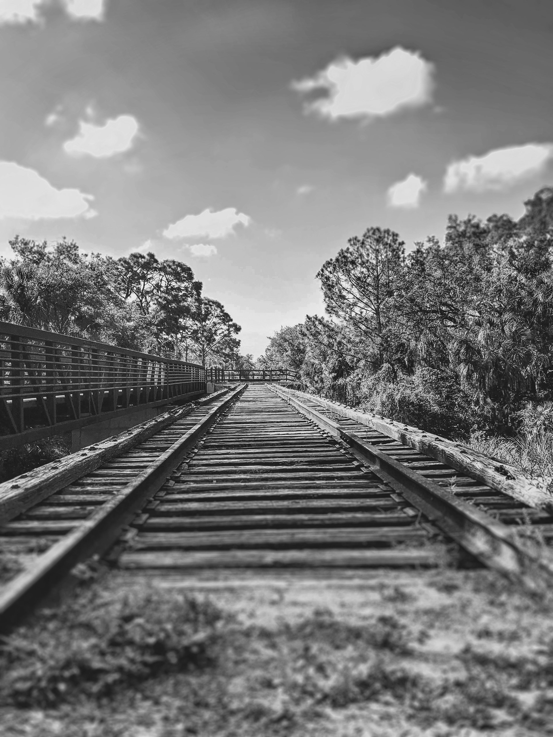 Meghan Bhanoo, Tracking Progress, Photography, Gilmour Academy High School, Educator: Mark Most, Grade 11,  Honorable Mention