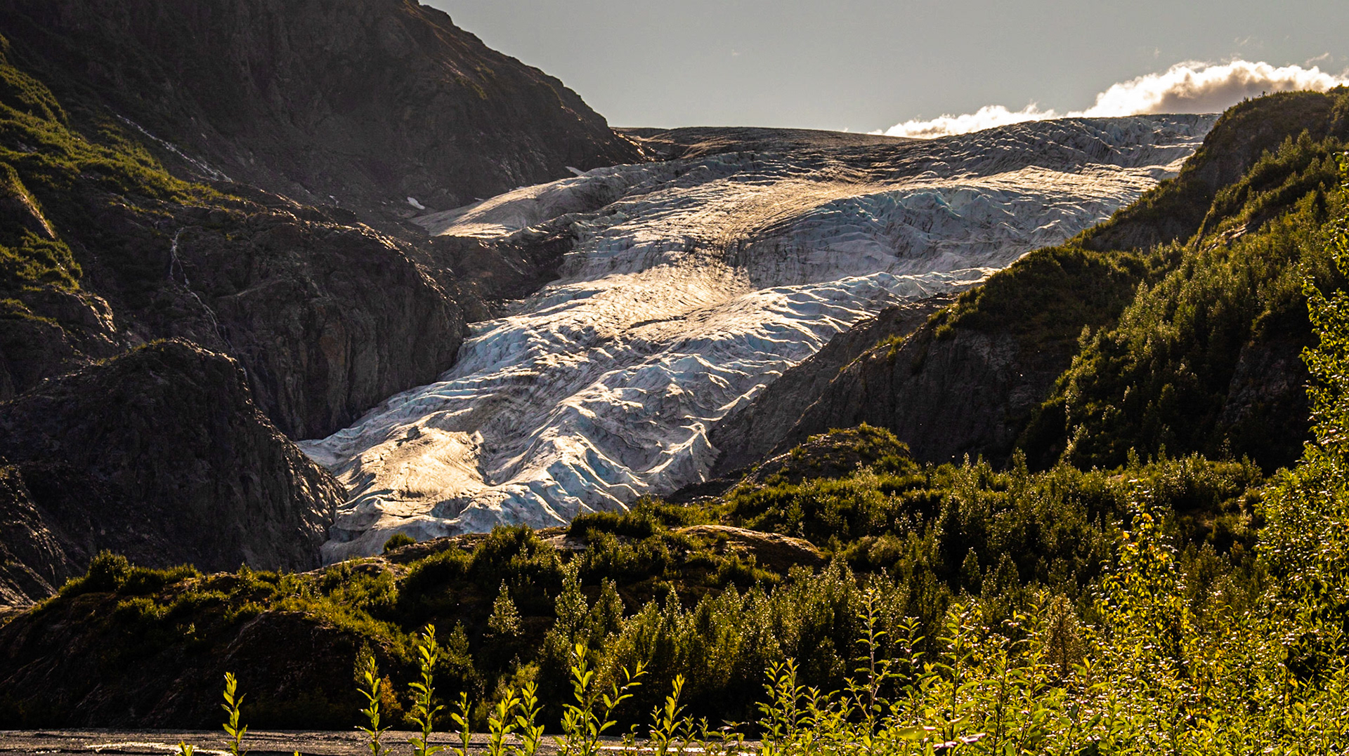 Exit Glacier