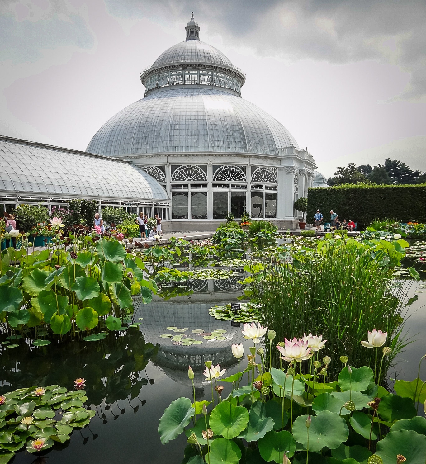 New York, Botanical garden
