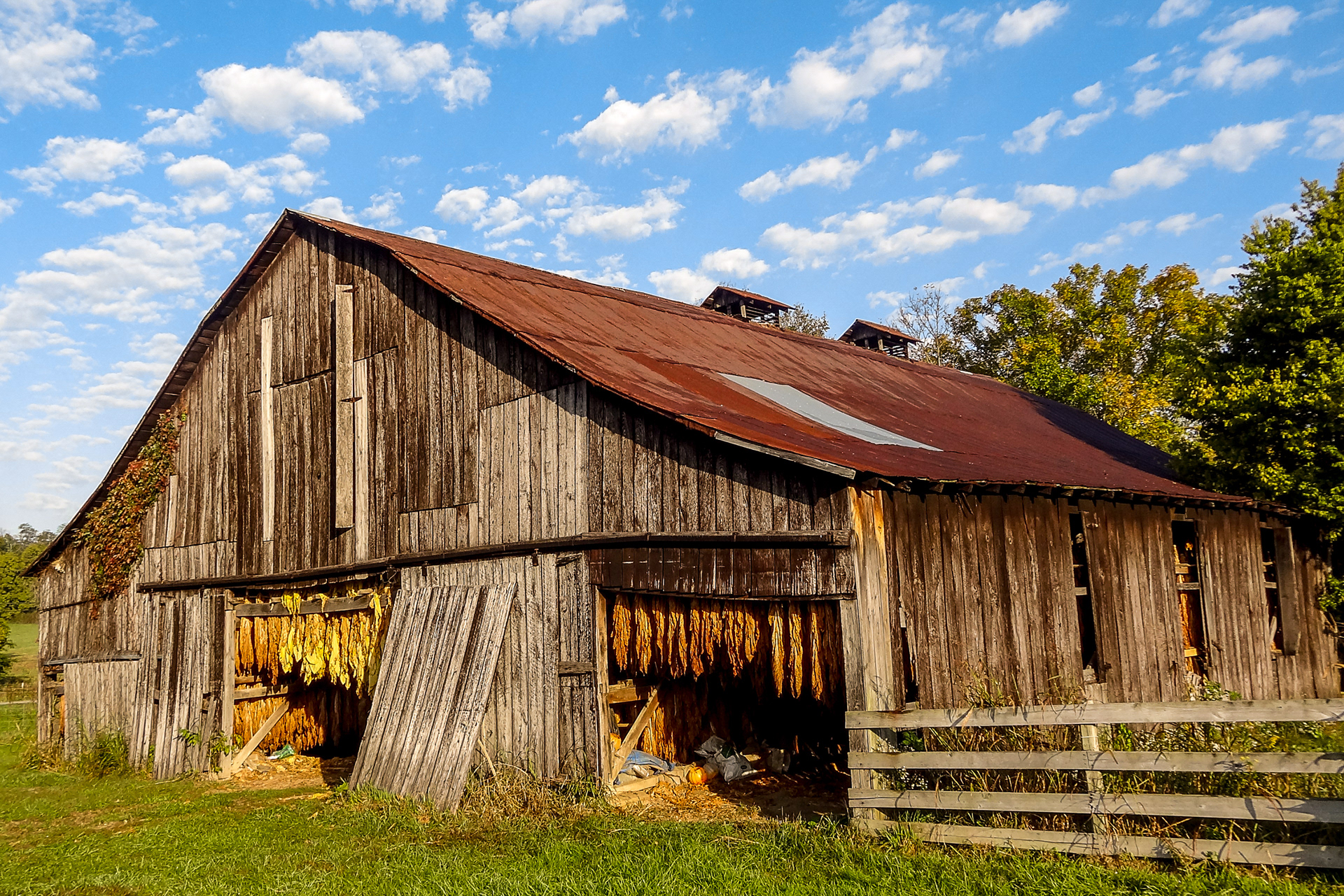 Kentucky, tobacco barn