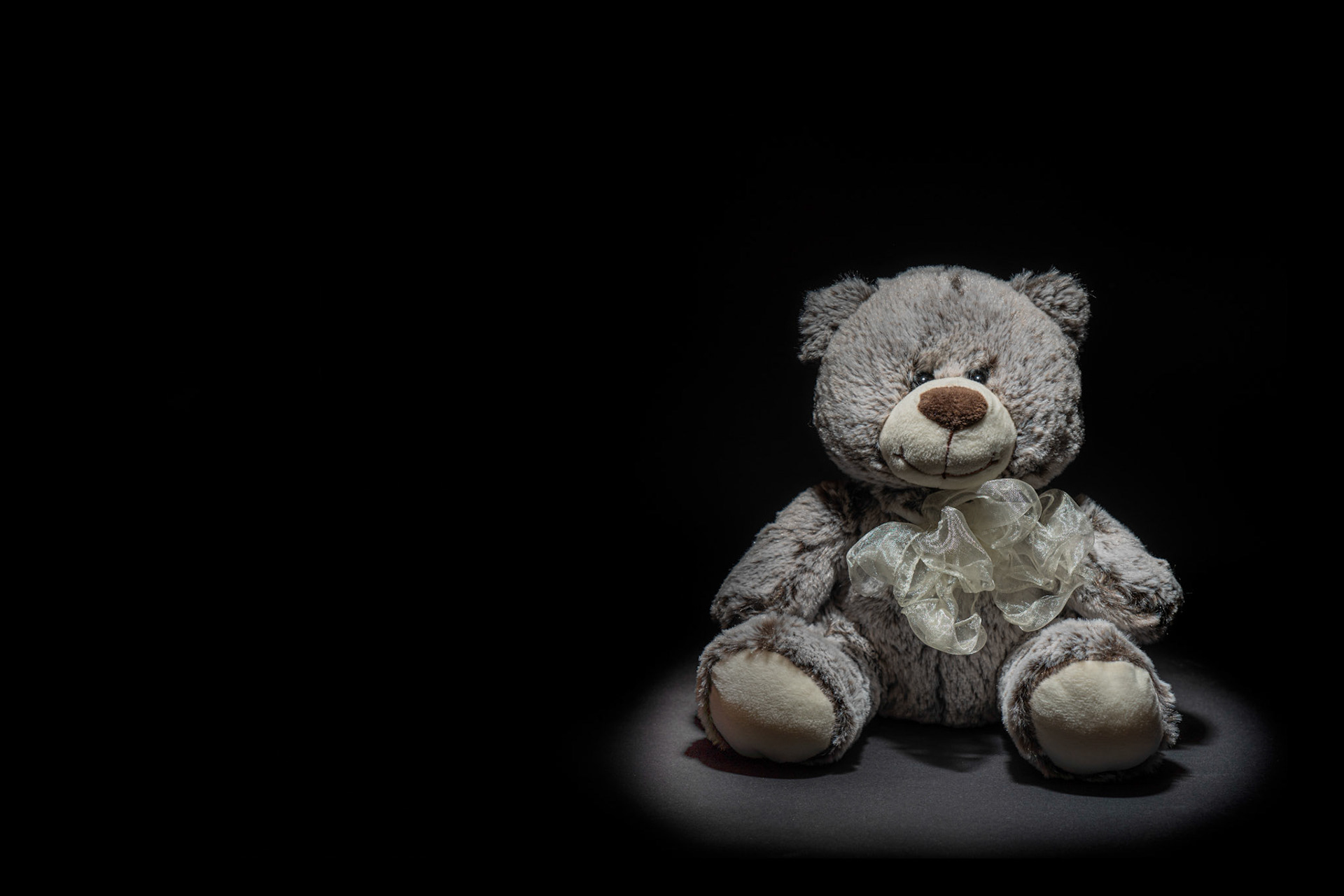 Spotlight Teddy