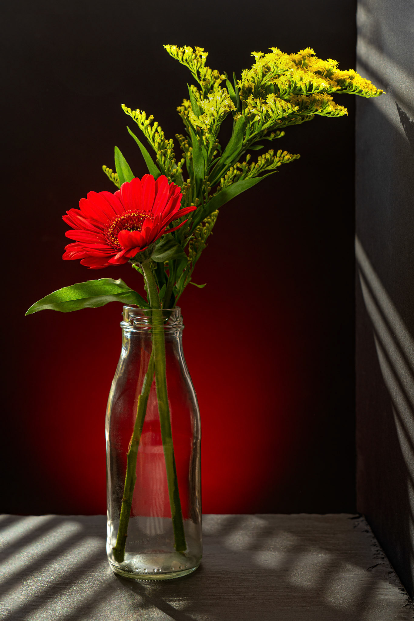 Gerbera arrangement