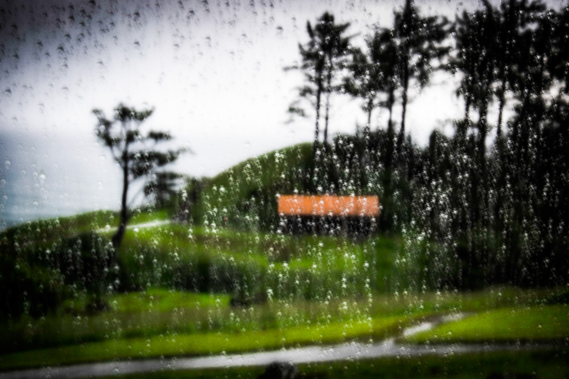 Waiting Out the Rain in Ecola State Park, Oregon