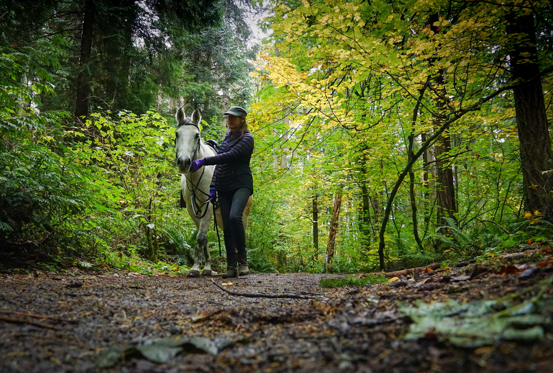 An equestrian at Bridle Trails State Park, 2019